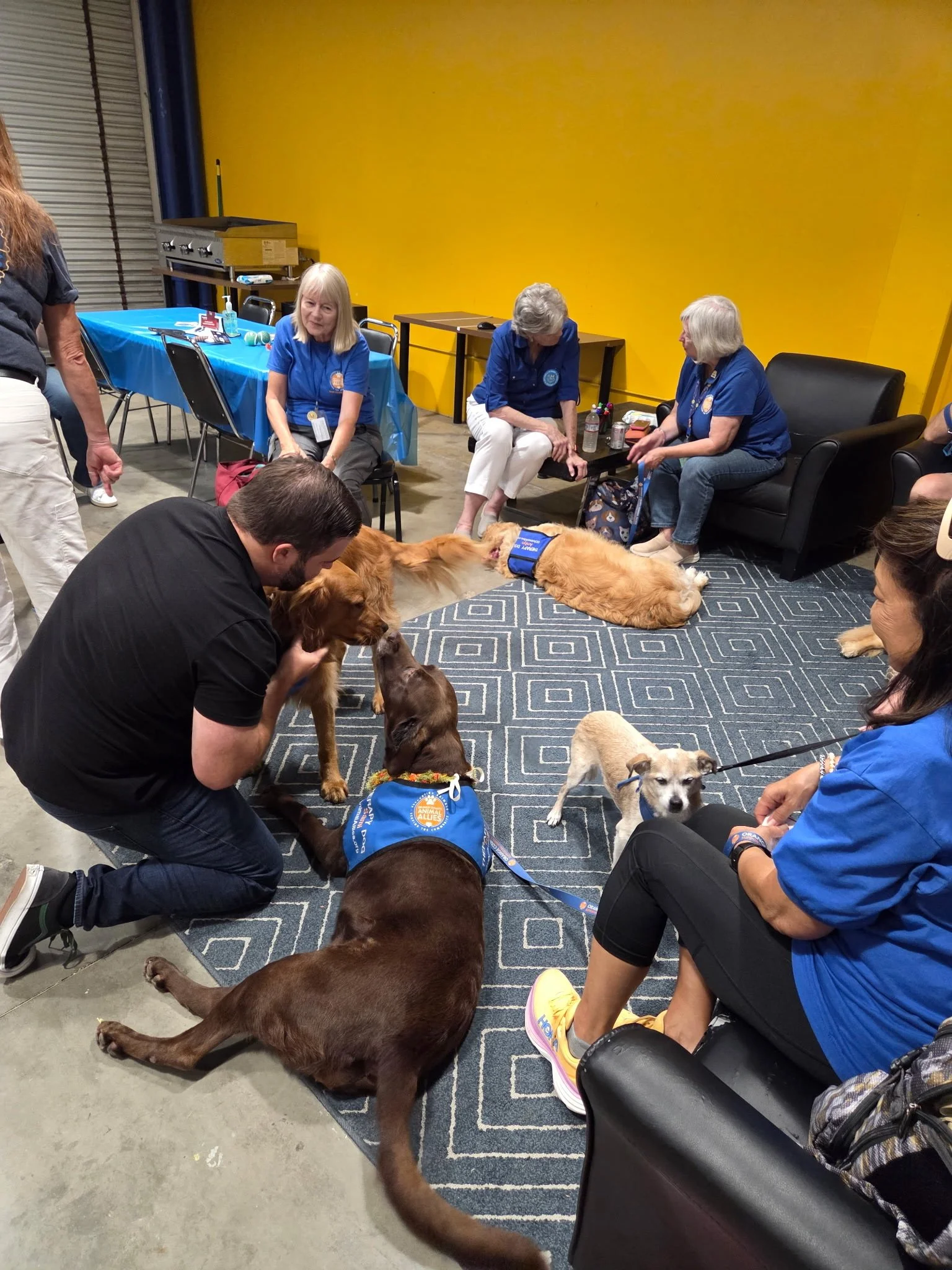 A group of people sit around a group of therapy dogs that wear blue vests.