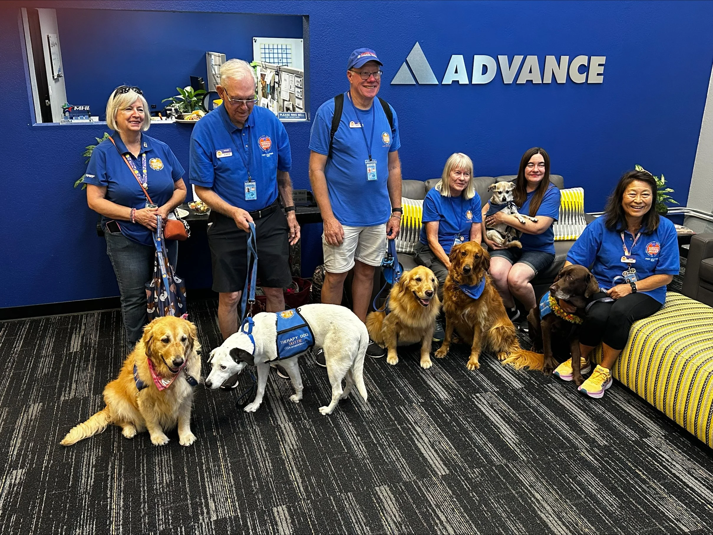 A group photo of six therapy dogs with their handlers, standing in front of an Advance logo in a lobby.
