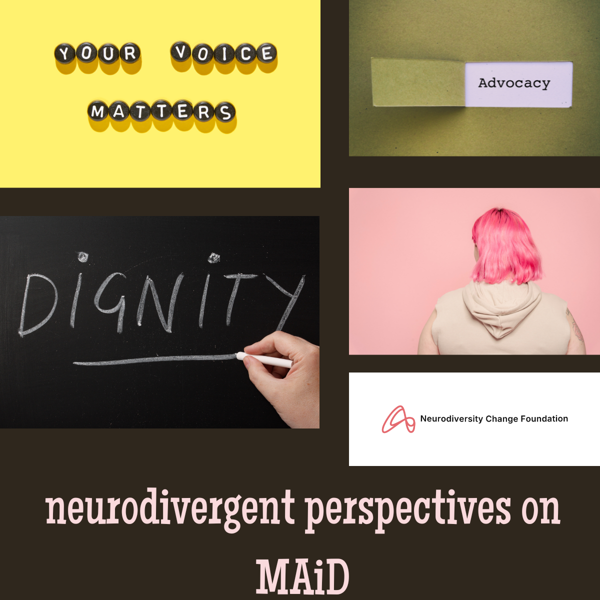 A Neurodivergent Perspective on Equity, Autonomy, and Medical Assistance in Dying (MAiD) 