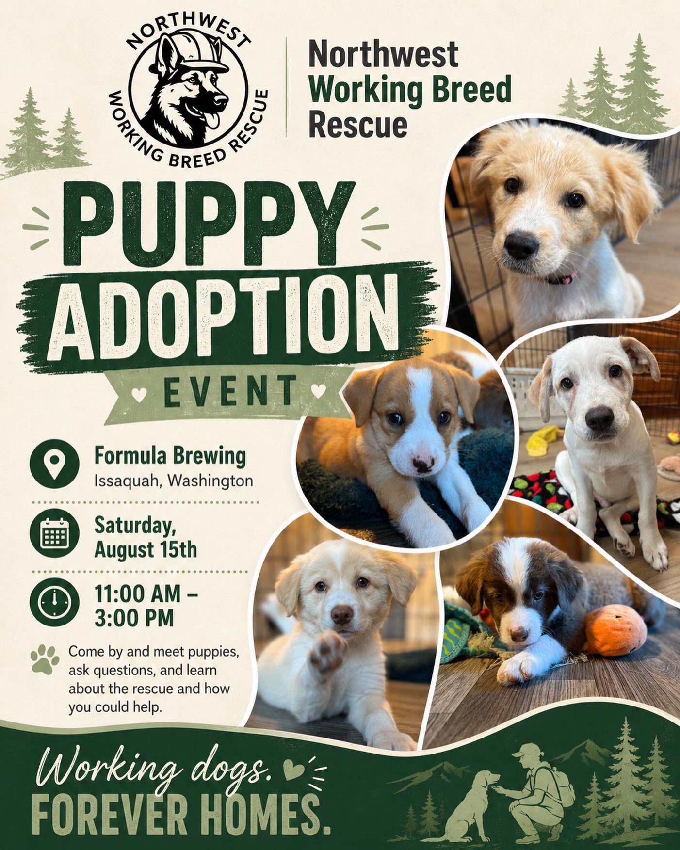 Come by this Saturday, 8/15 and meet some great dogs from @nwworkingbreedrescue!