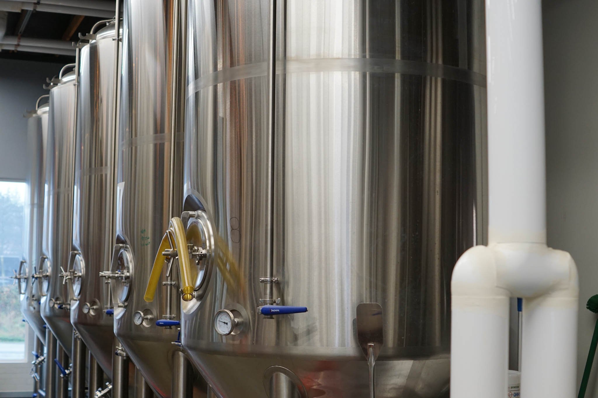 Multiple large stainless steel fermentation tanks in a brewery or beverage production facility.