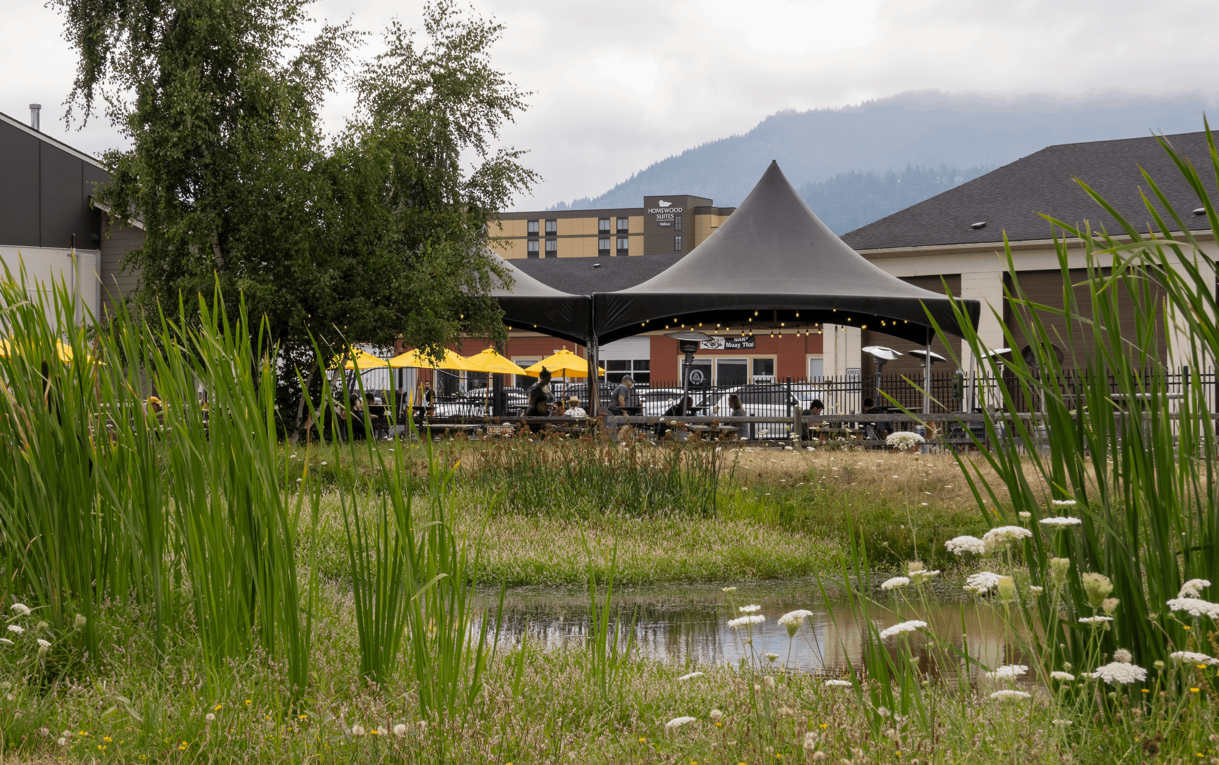 beer garden street view_processed_by_imagy.png
