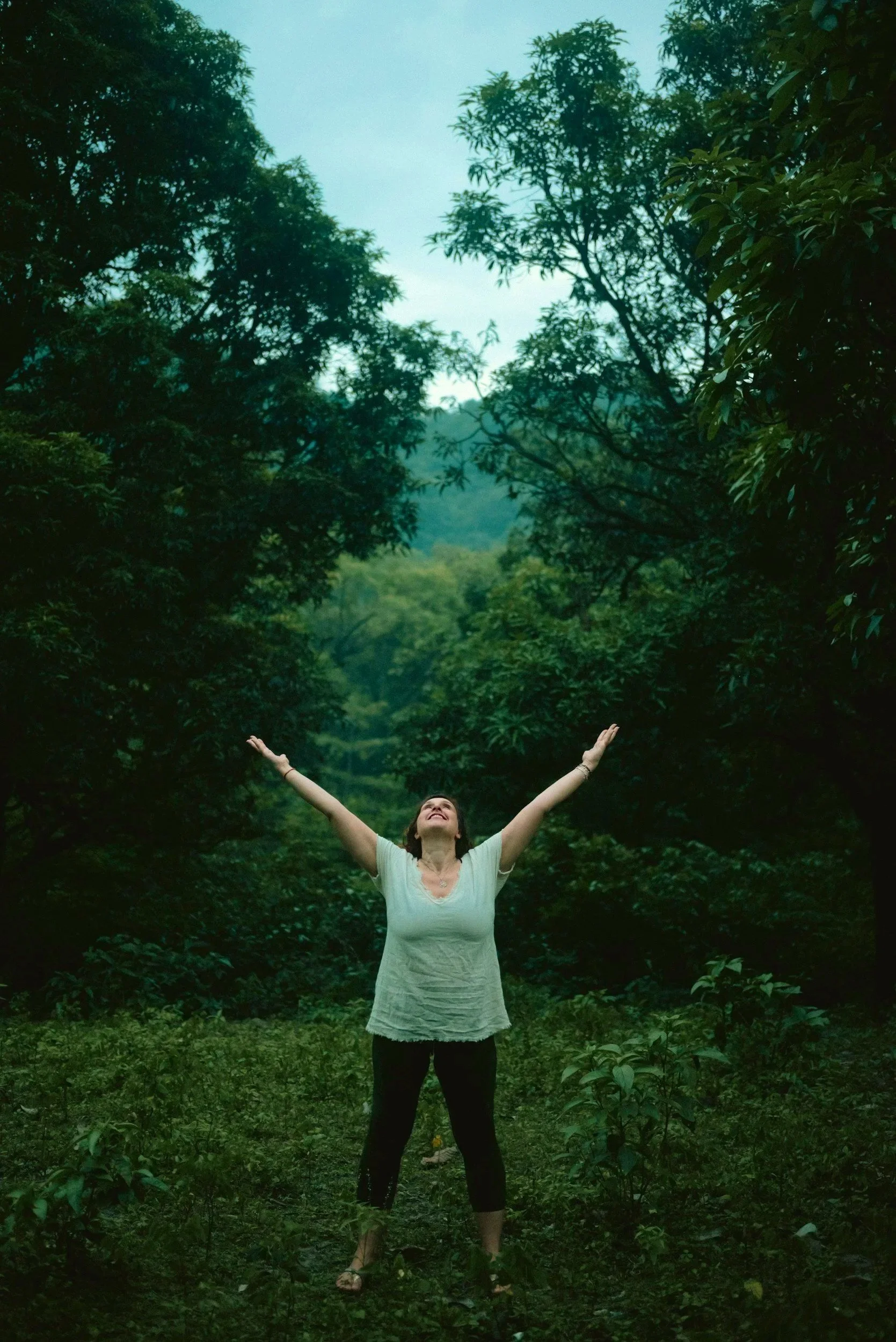 A woman in a white shirt and black pants standing in a lush green forest with her arms raised and looking up, surrounded by tall trees and dense foliage.