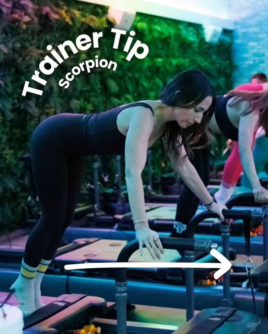 Scorpion form check✔️

&bull; Back flat, hips in line with shoulders
&bull; Shoulders slightly behind wrists
&bull; Core engaged, belly button drawing toward spine
&bull; Soft bend in the knees
&bull; Heels lifted

From here, the scorpion range of mo