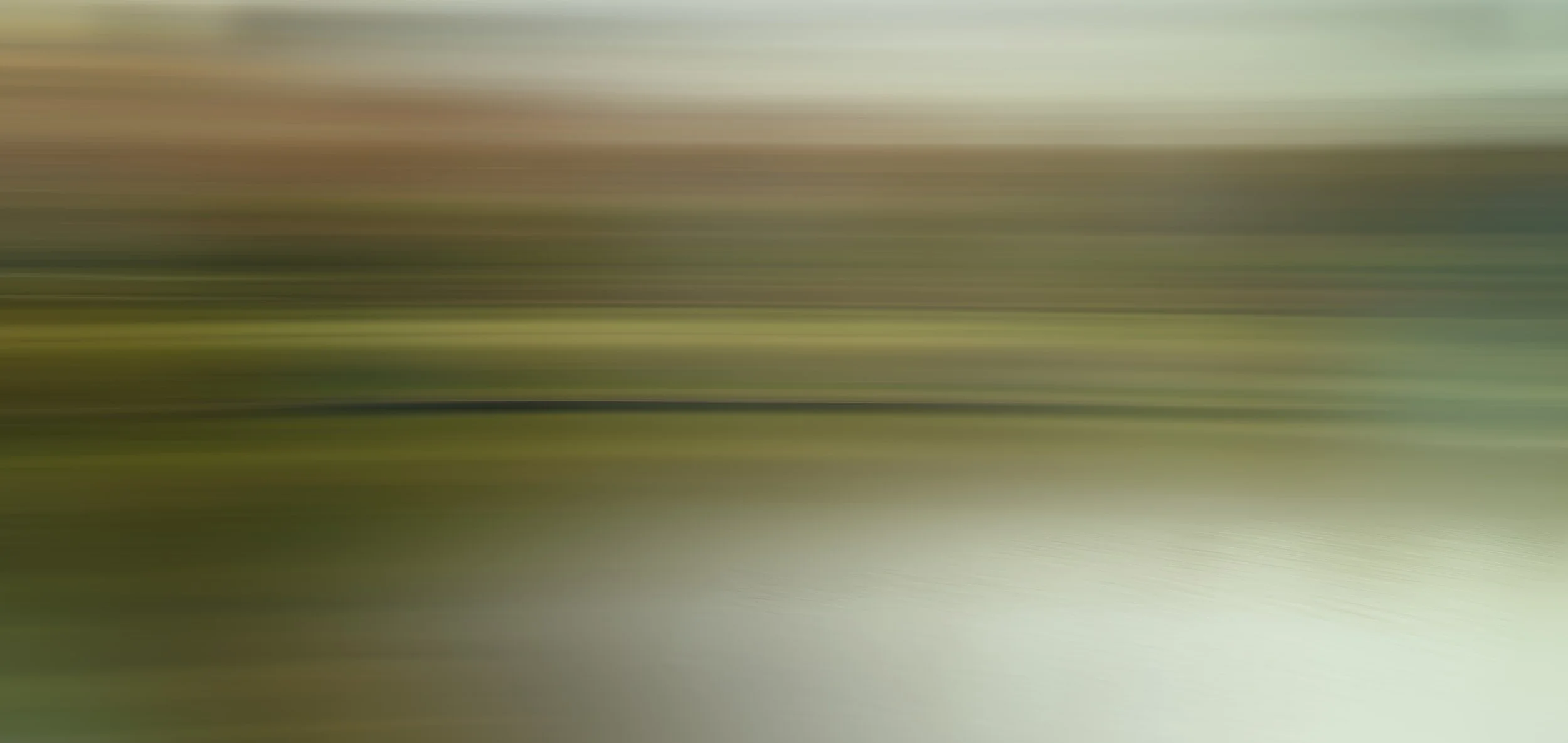 Stream of Autumn Light, 2025