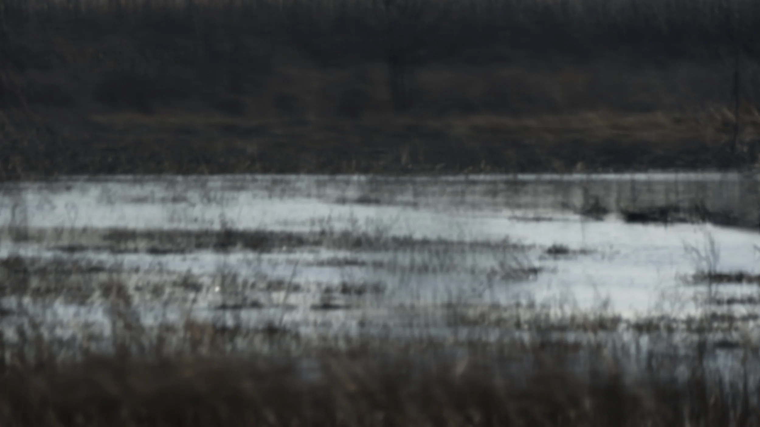 Riverlands Impression 6.jpg