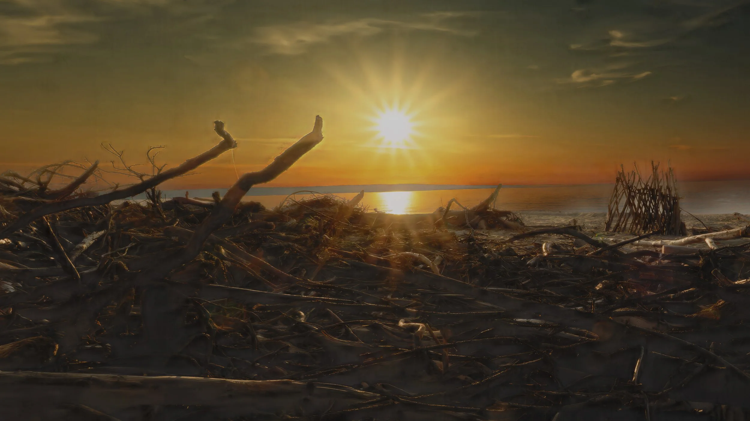 Drift Wood Sunset copy.jpg