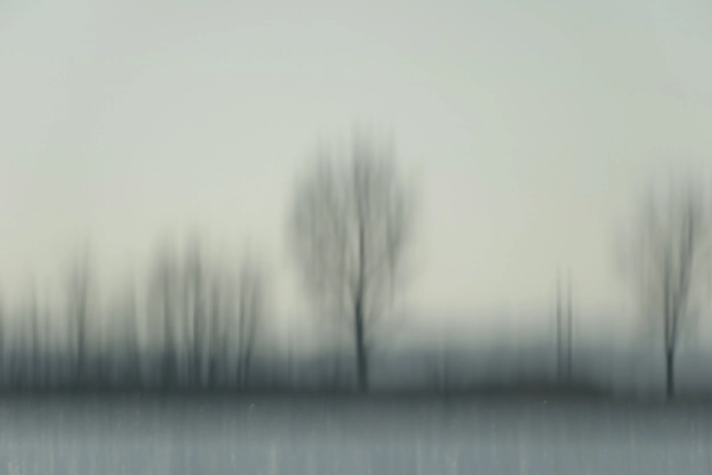 Riverlands Impressions in Winter, 2026