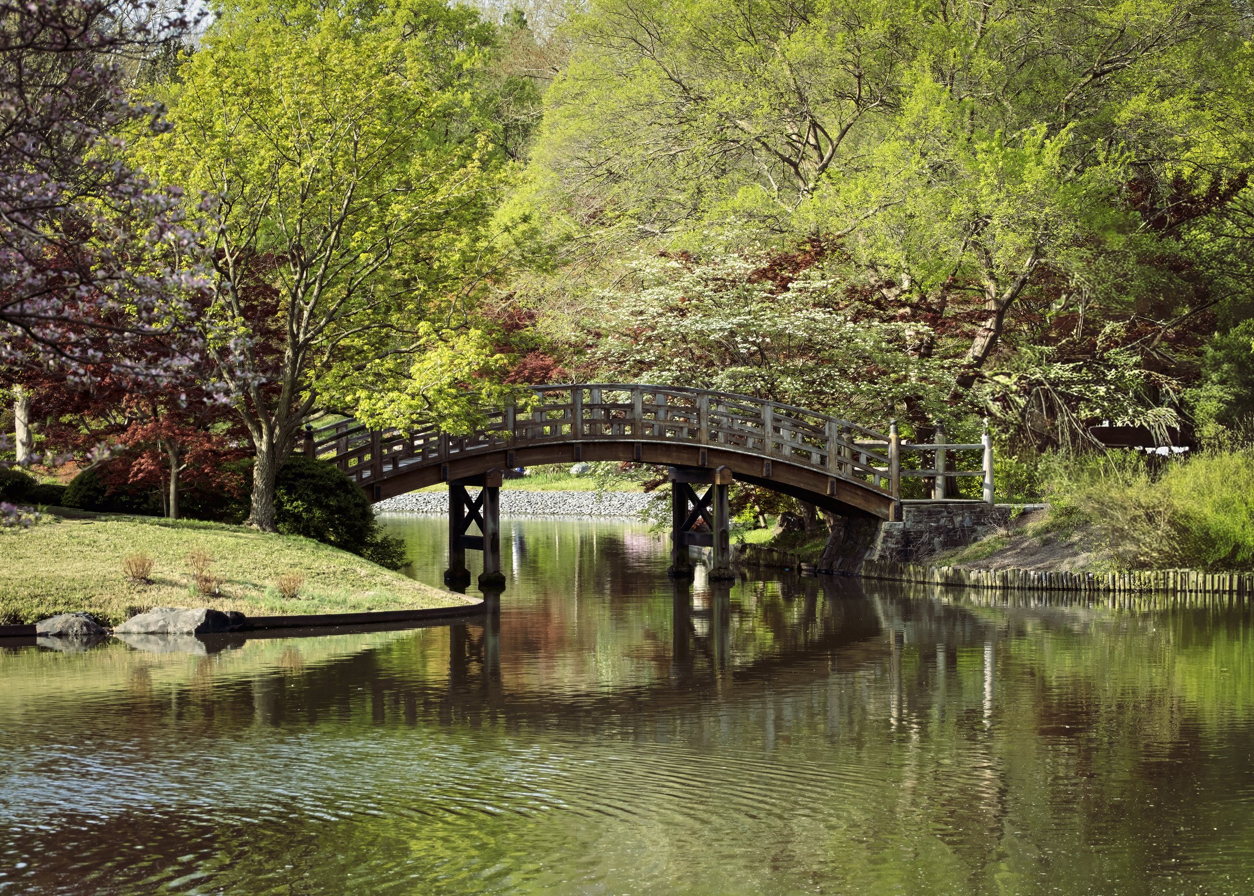 Chinese Bridge2.jpg