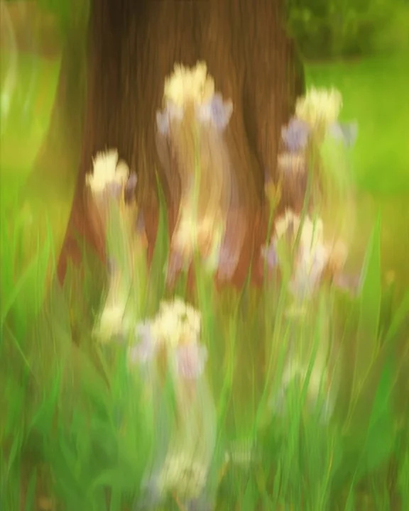 An impression of Irises, 2025
