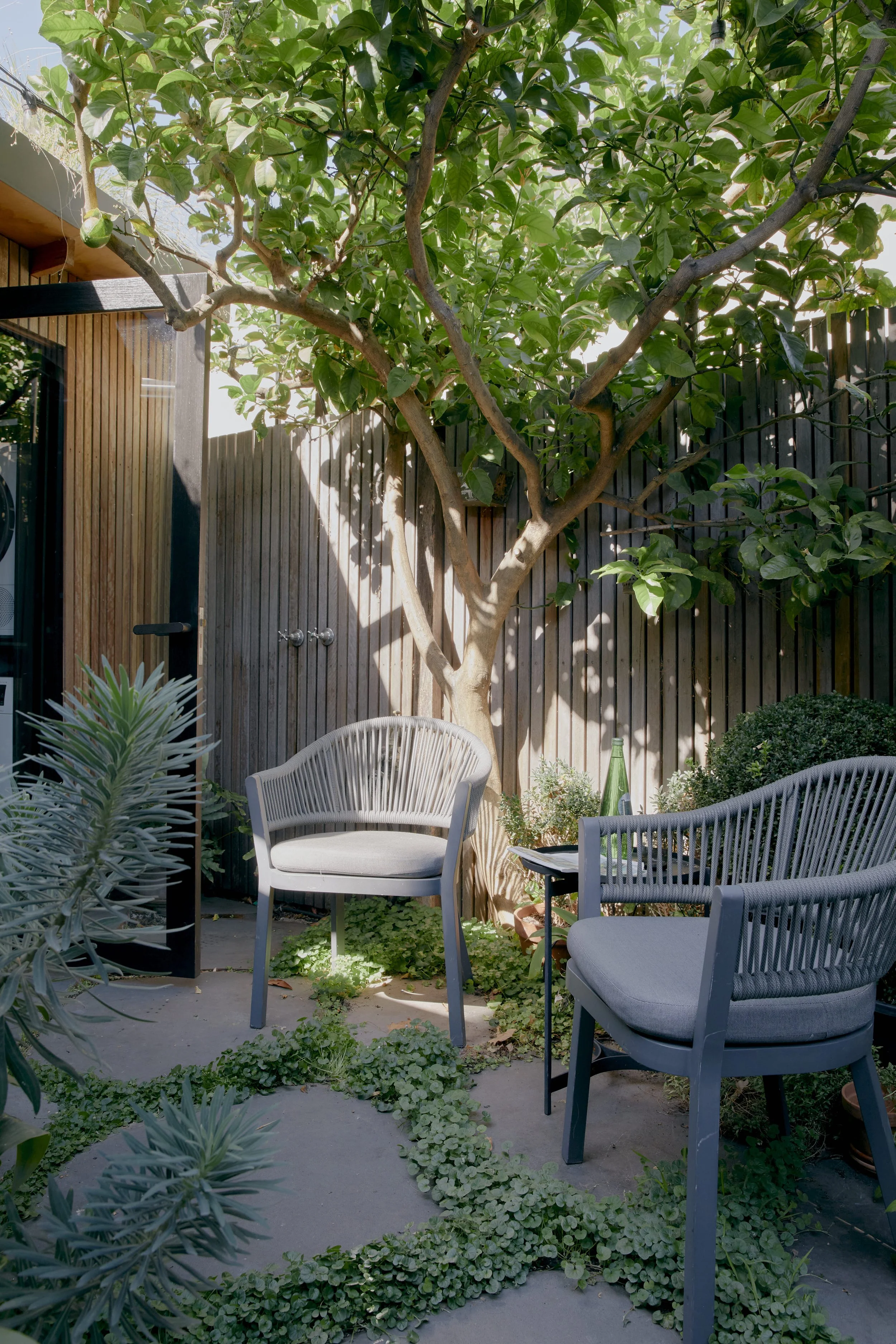 ONRA_Albert Park_LR 10.jpg