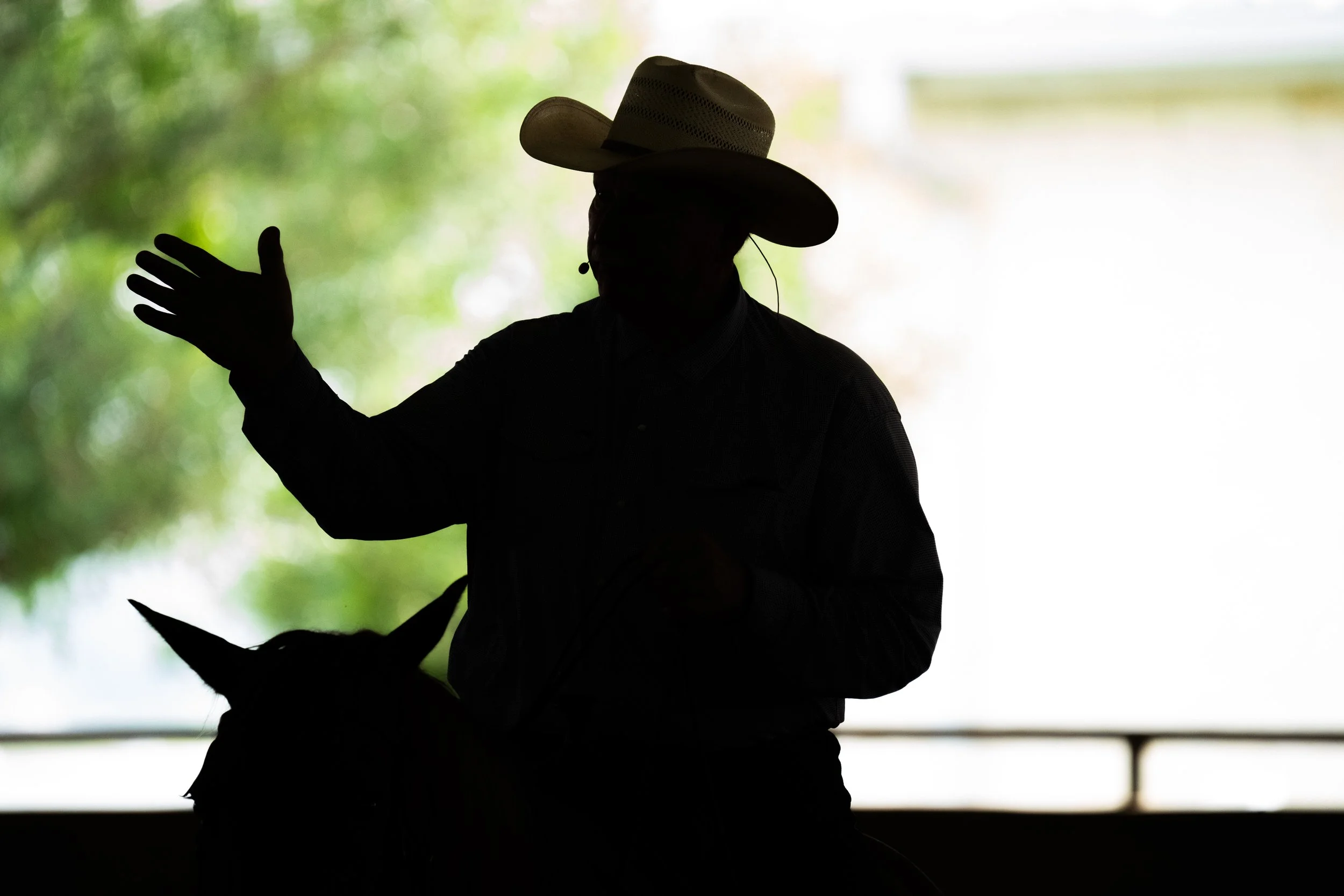 Silhouette of a person wearing a cowboy hat, raising one hand, with a blurred green background.