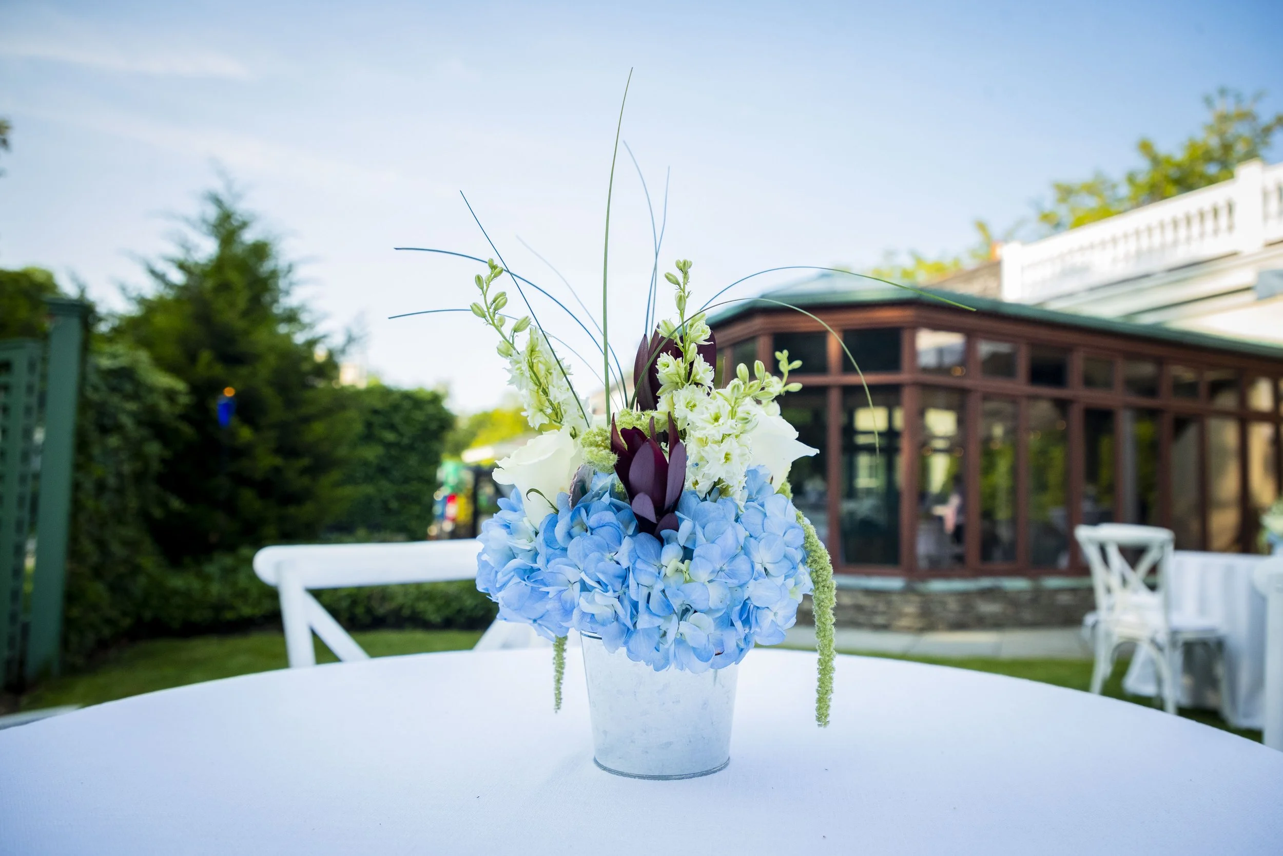 06-11-2023_DKAZ_Cocktail Party58.JPG