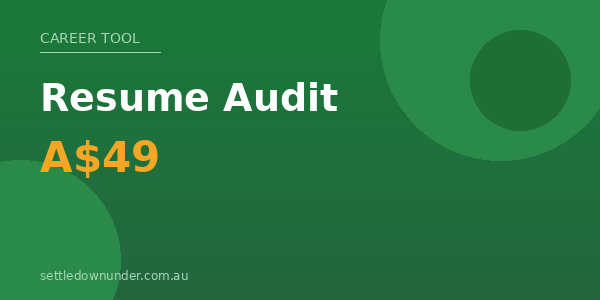 Resume Audit Banner