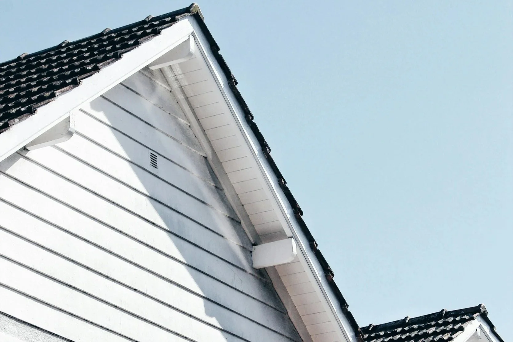 junk removal affordable free painter best price land scaping yard work carpenter fair price experienced licensed ensured