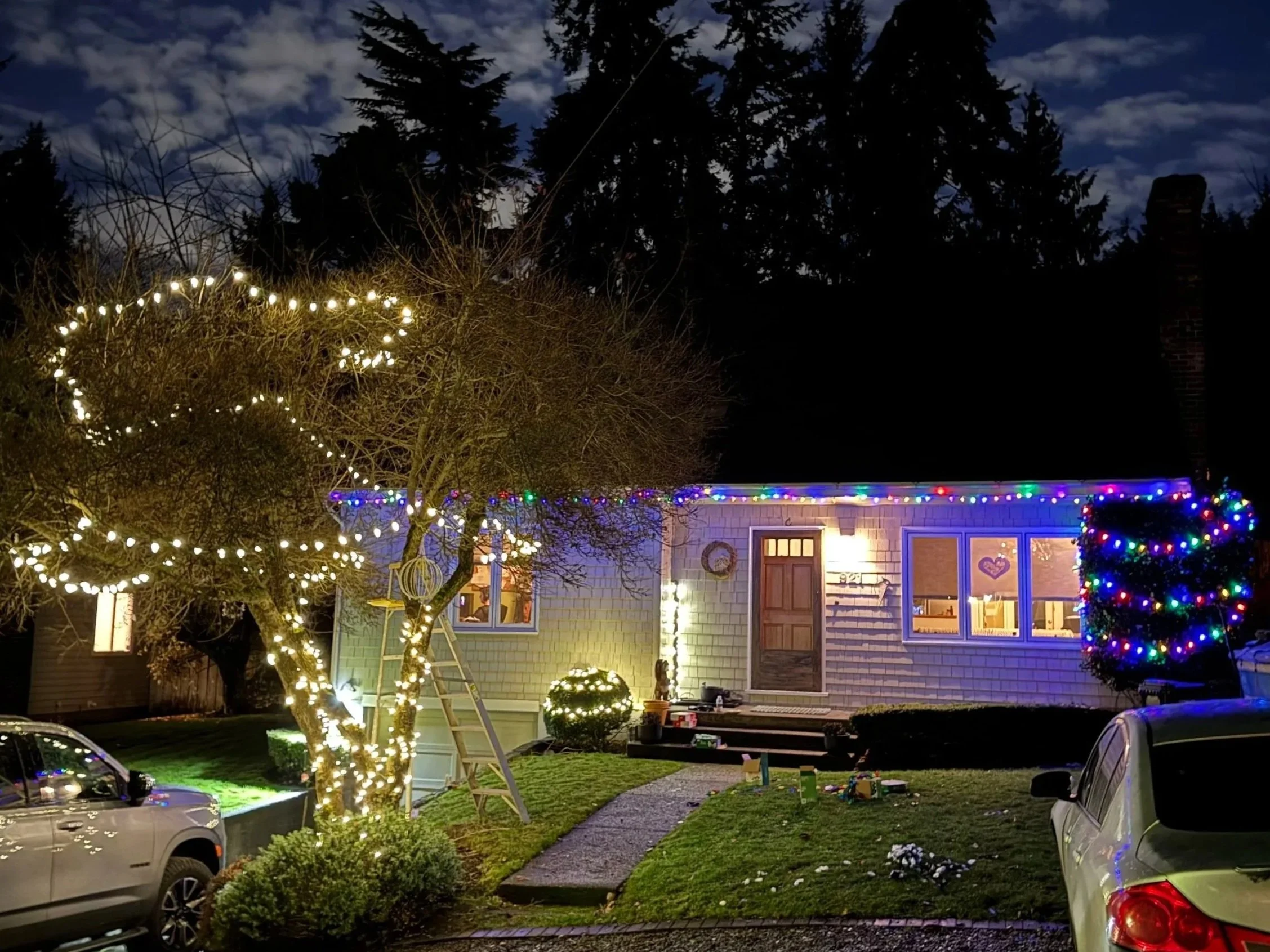 A house decorated with colorful Christmas lights and a tree wrapped with white lights for the holiday season at night.