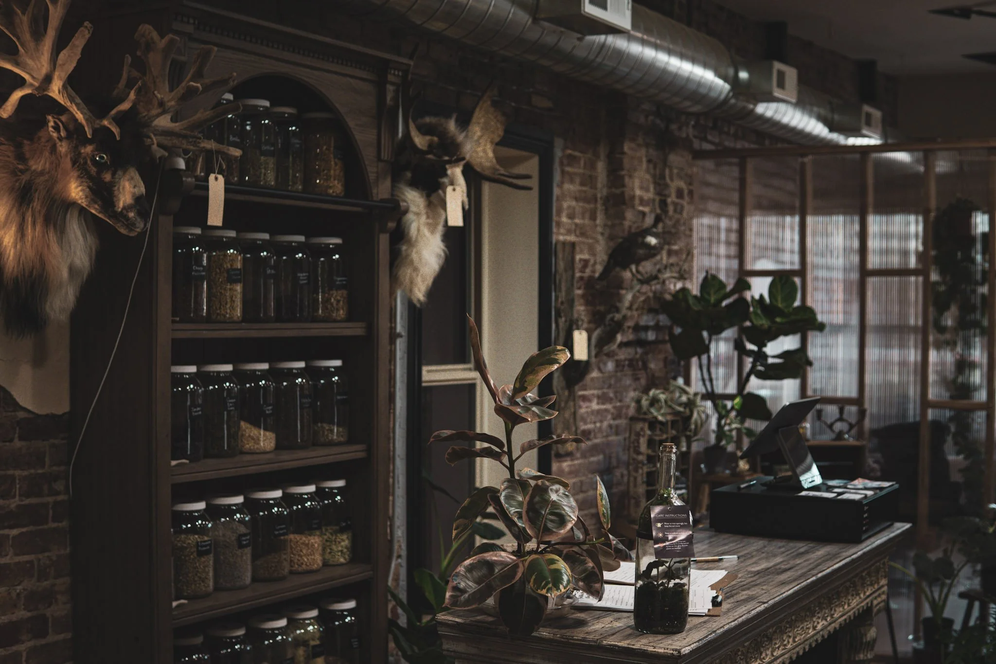 Interior of a rustic-themed shop or cafe with brick walls, mounted animal trophies including a deer head and a moose head, shelves filled with jars, various houseplants on a wooden counter, and a cash register.