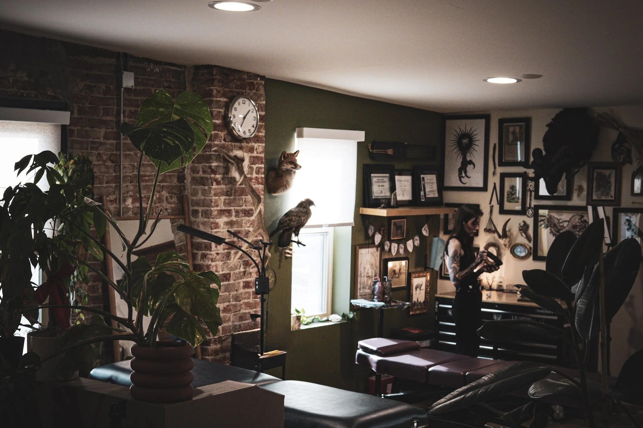Interior of a room decorated with framed art and taxidermy, including a mounted fox and eagle, with a woman holding a camera or phone near a wall.