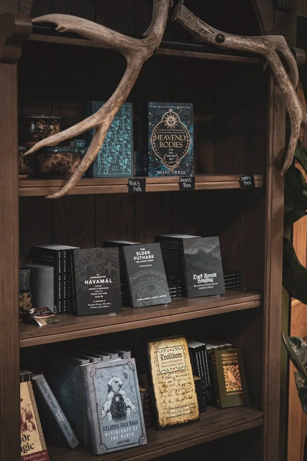 Wooden bookshelf with books about fantasy, folklore, and guidebooks, decorated with antlers on top.
