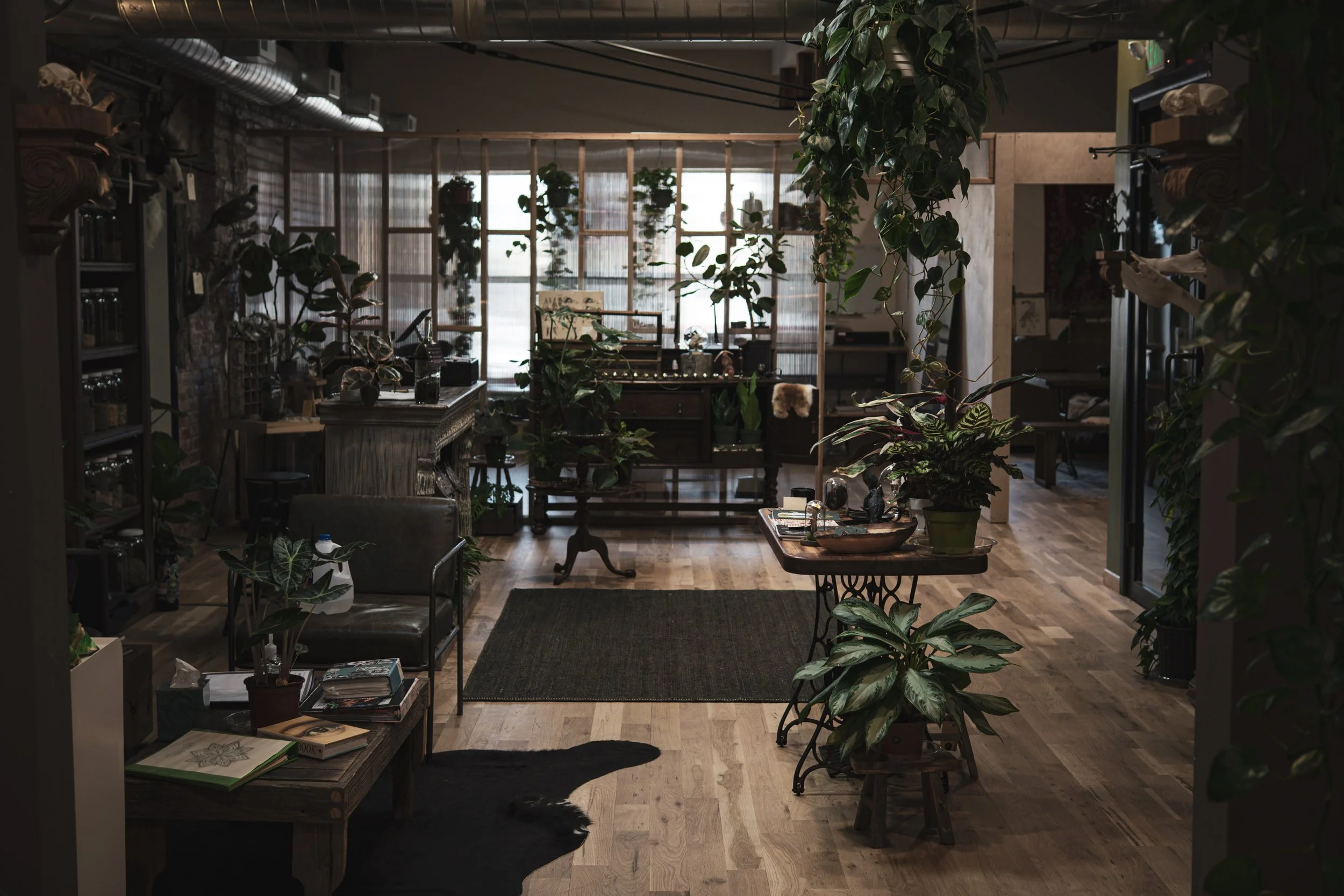 January First Friday + Nik’s Graduation Party!