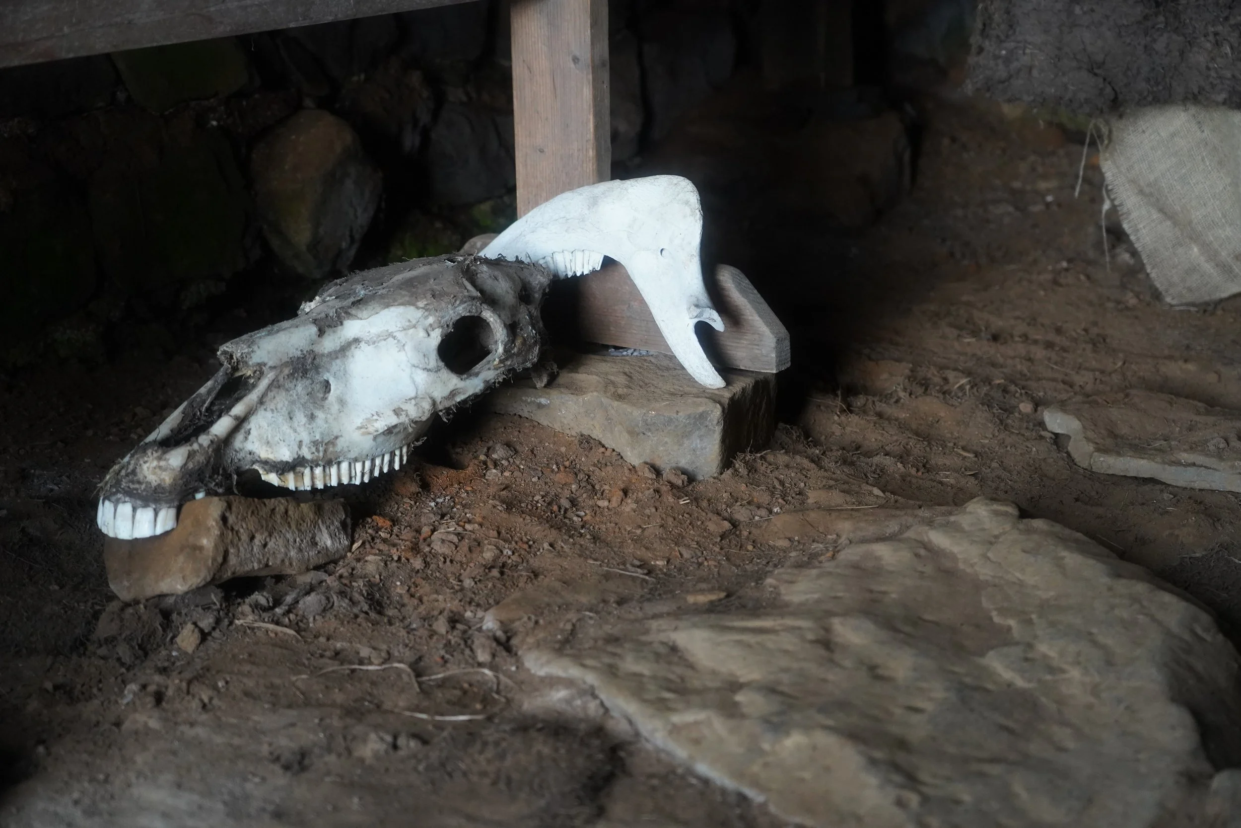 Icelandic Staves: Where They Come From, and How To Make Them