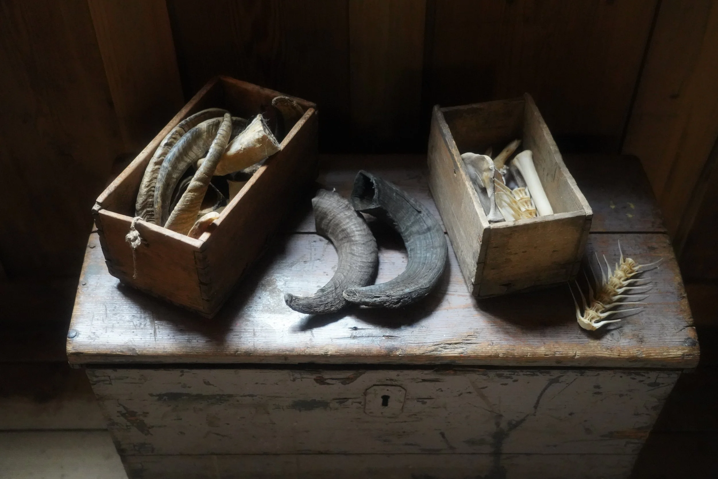 Icelandic Staves: From History to Practical Use