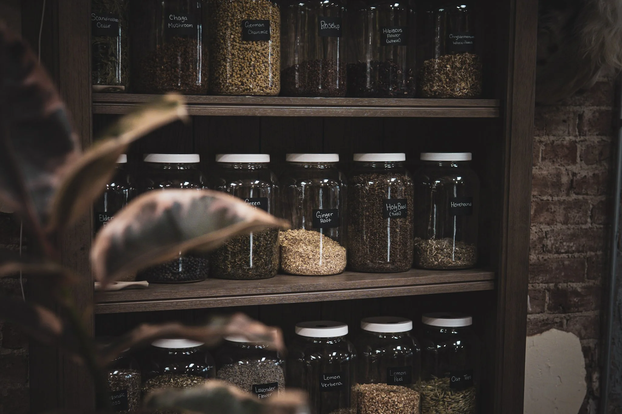 Shelf with glass jars containing dried herbs and spices labeled with names such as 'Ginger Root,' 'Holy Basil,' 'Lemon Verbena,' and 'Lavender Flower.' The jars are stored on wooden shelves against a brick wall.