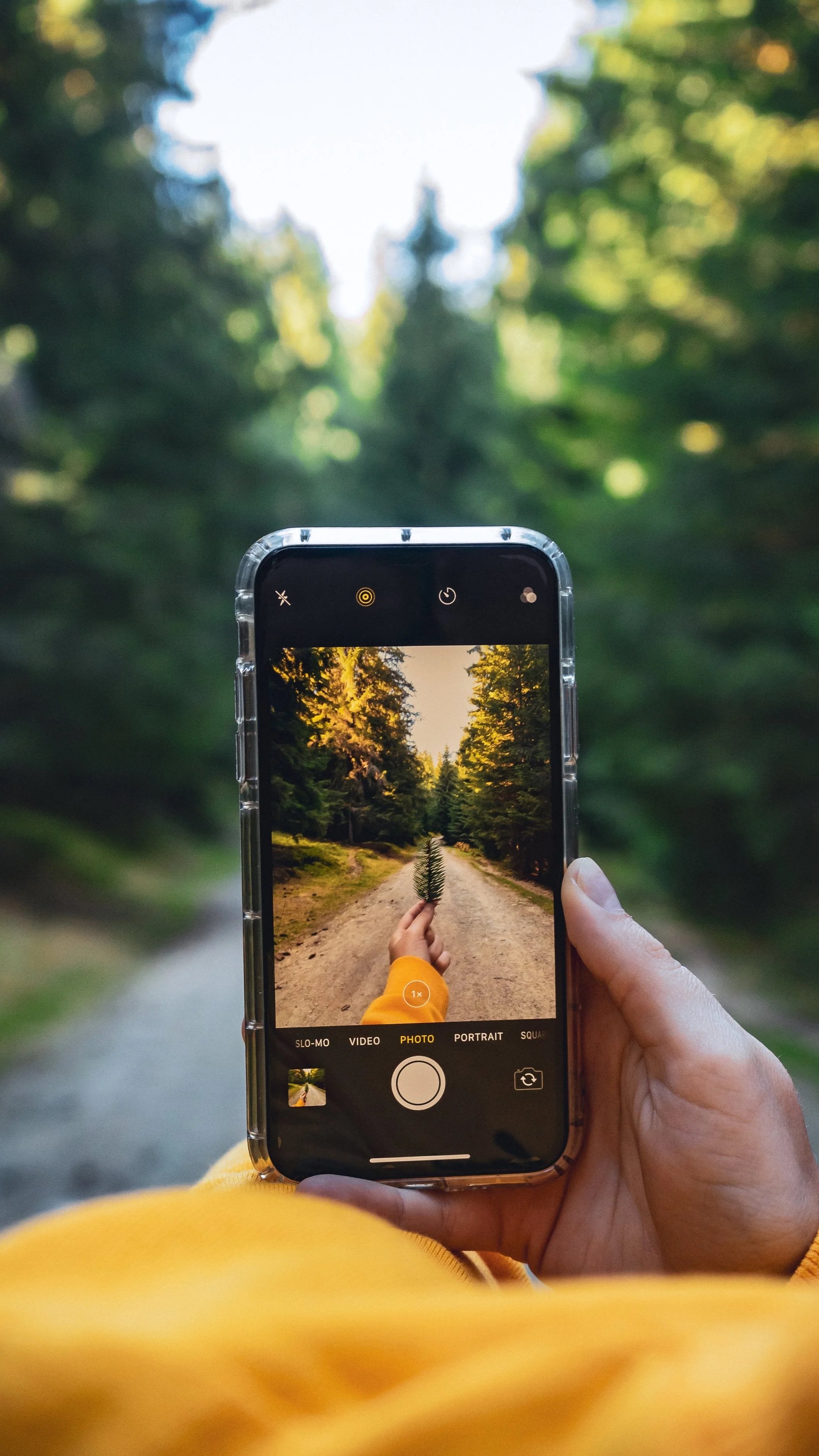 How Do I Get My Photos From the Cloud?