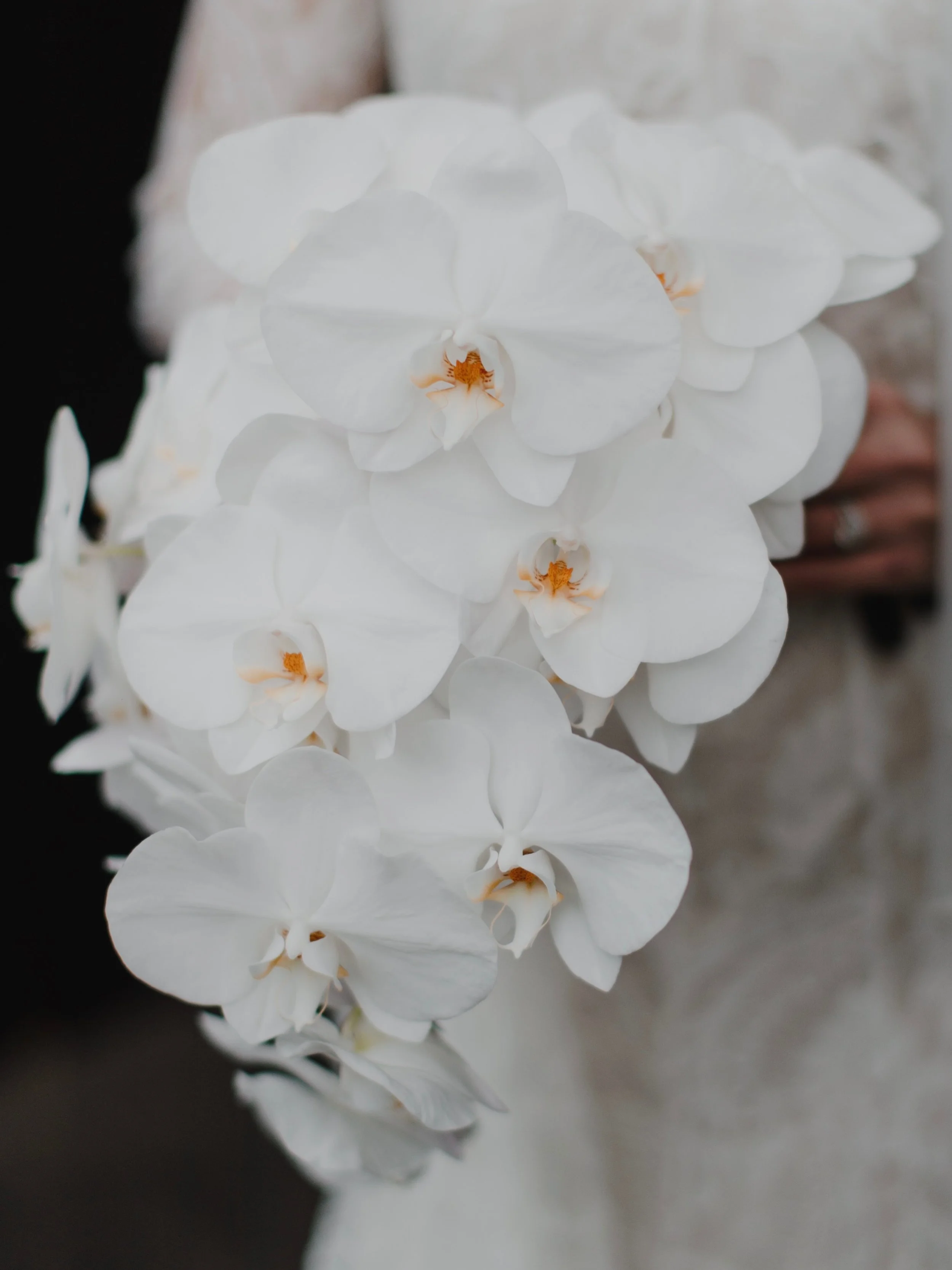 Eight years of marriage &mdash; of growing, changing, building a life together, and discovering beauty in the many quiet, ordinary moments in between.

Some things only become more precious with time.

#AREUM
#EightYears
#WeddingAnniversary
#LifeBehi