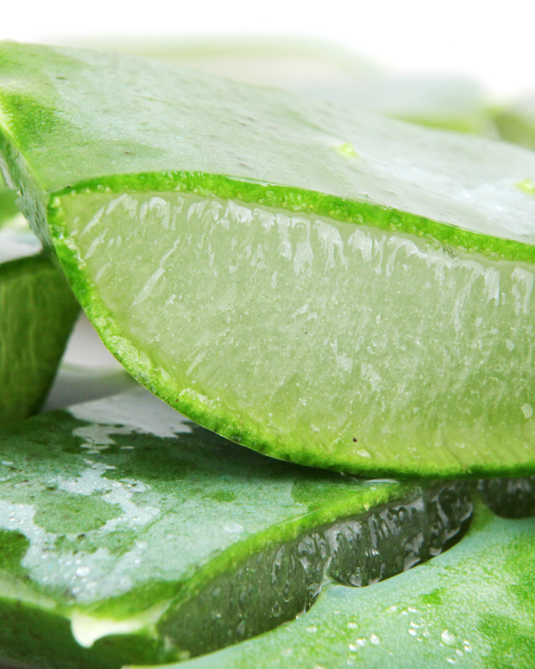 Aloe.png