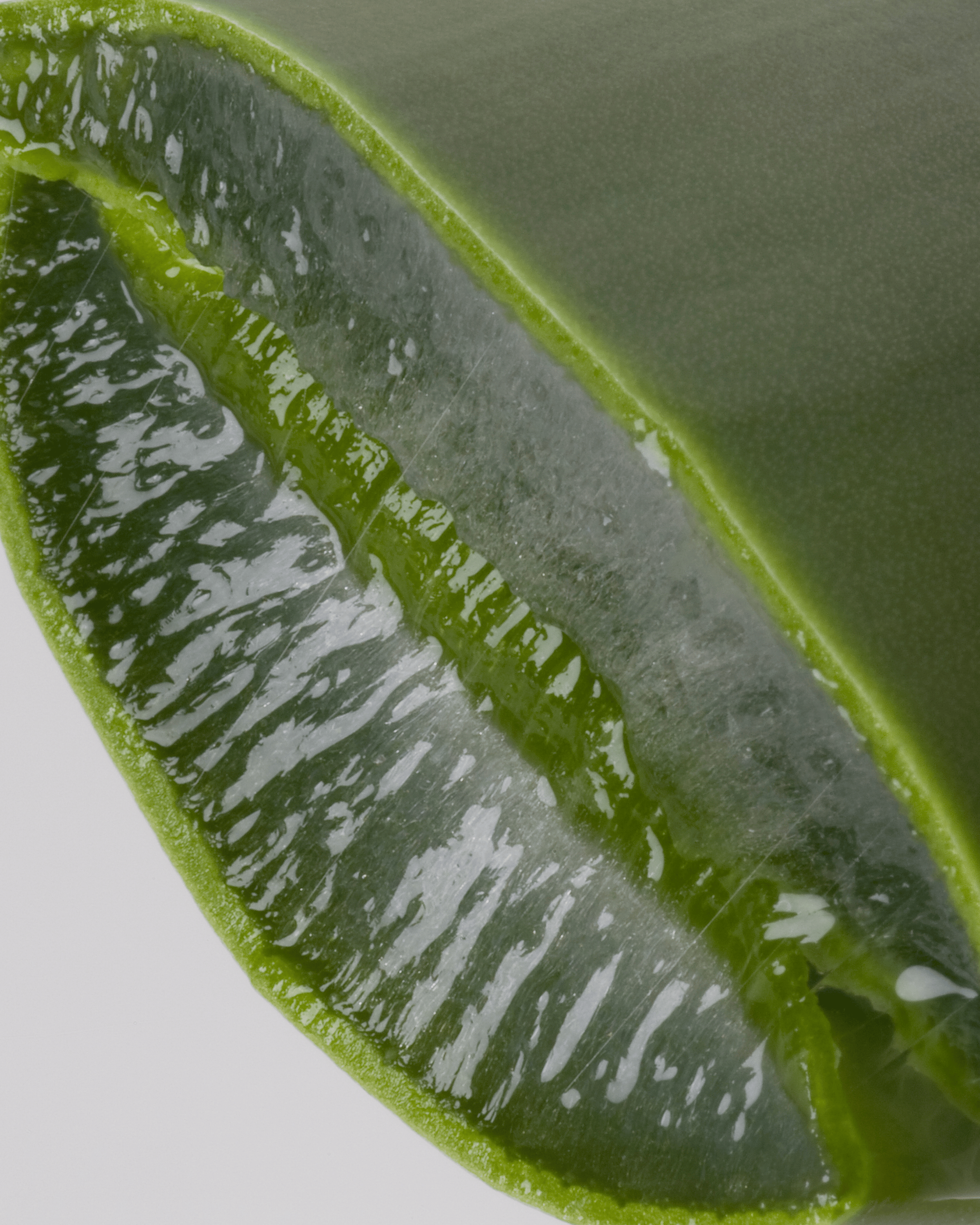 Aloe Vera Juice – Organic