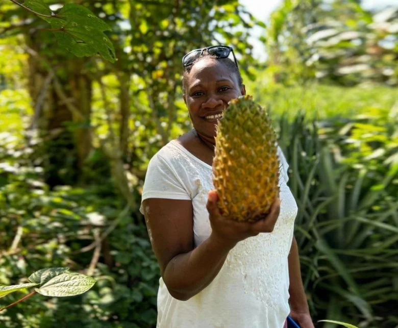 A woman with sunglasses on her head holding a pineapple outdoors in a lush, green setting.