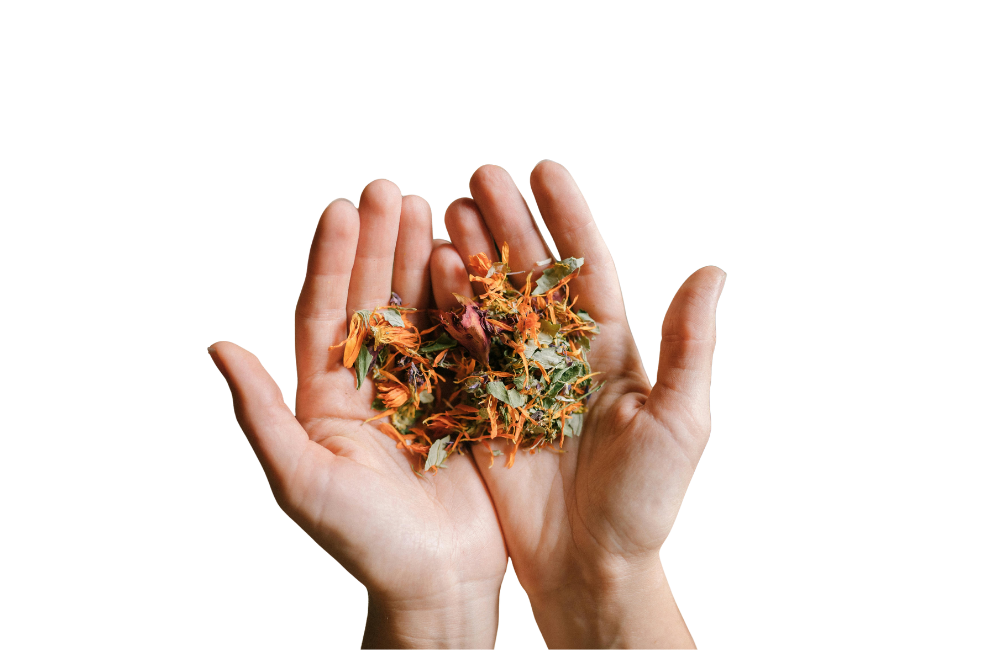 Lifestyle Counselling