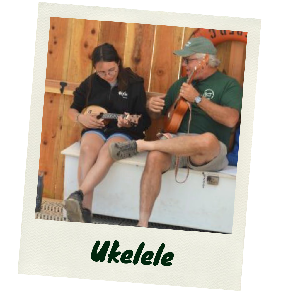 Ukelele.png
