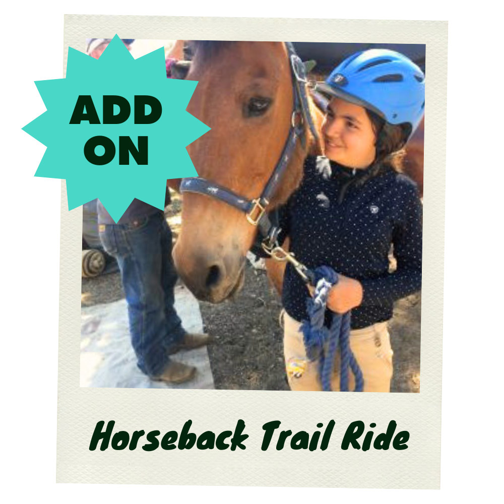 Horseback Trail Ride.png