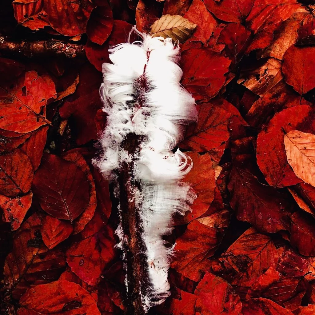 Foto Natuurlijke structuren door Gijs Wouters