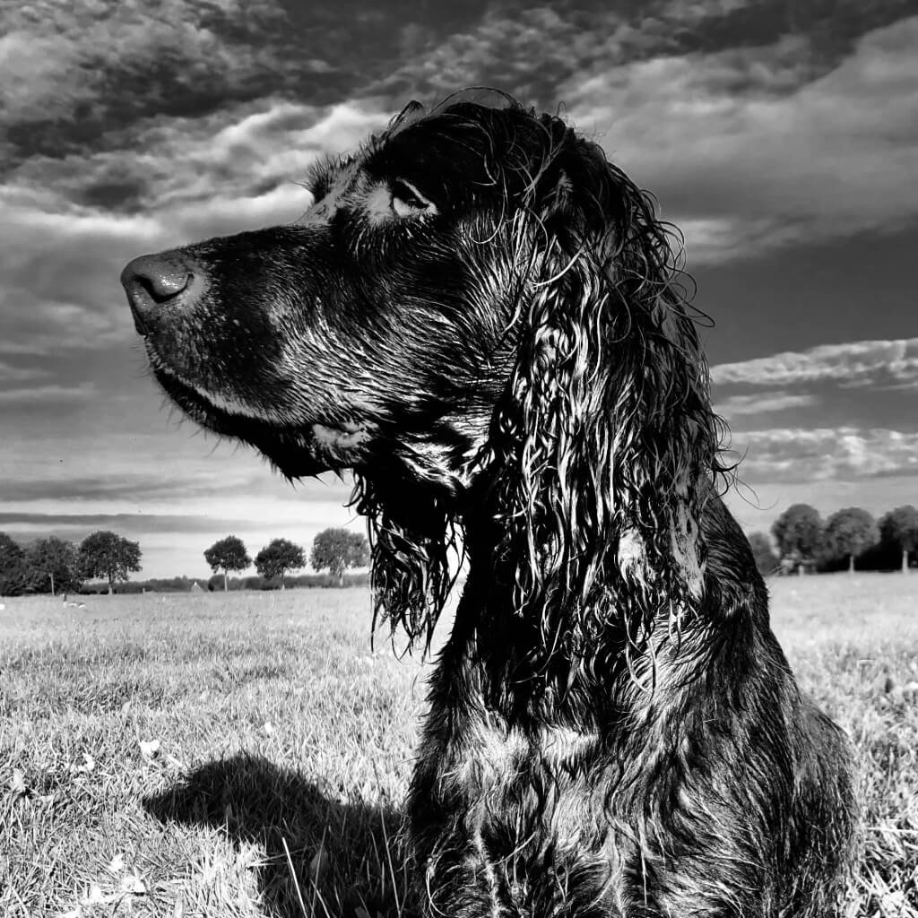 Foto zwart wit door Gijs Wouters