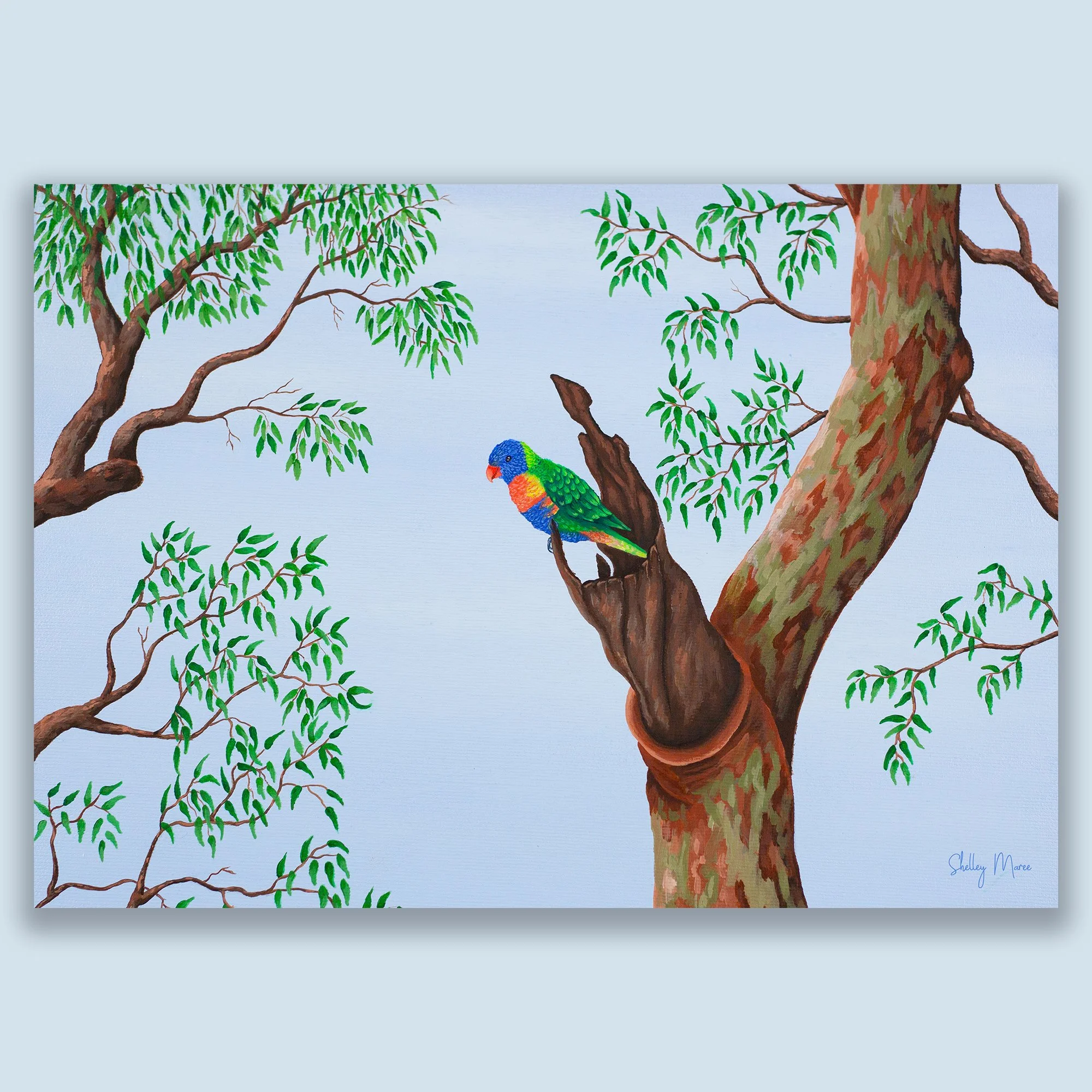 Lorikeet Art Print