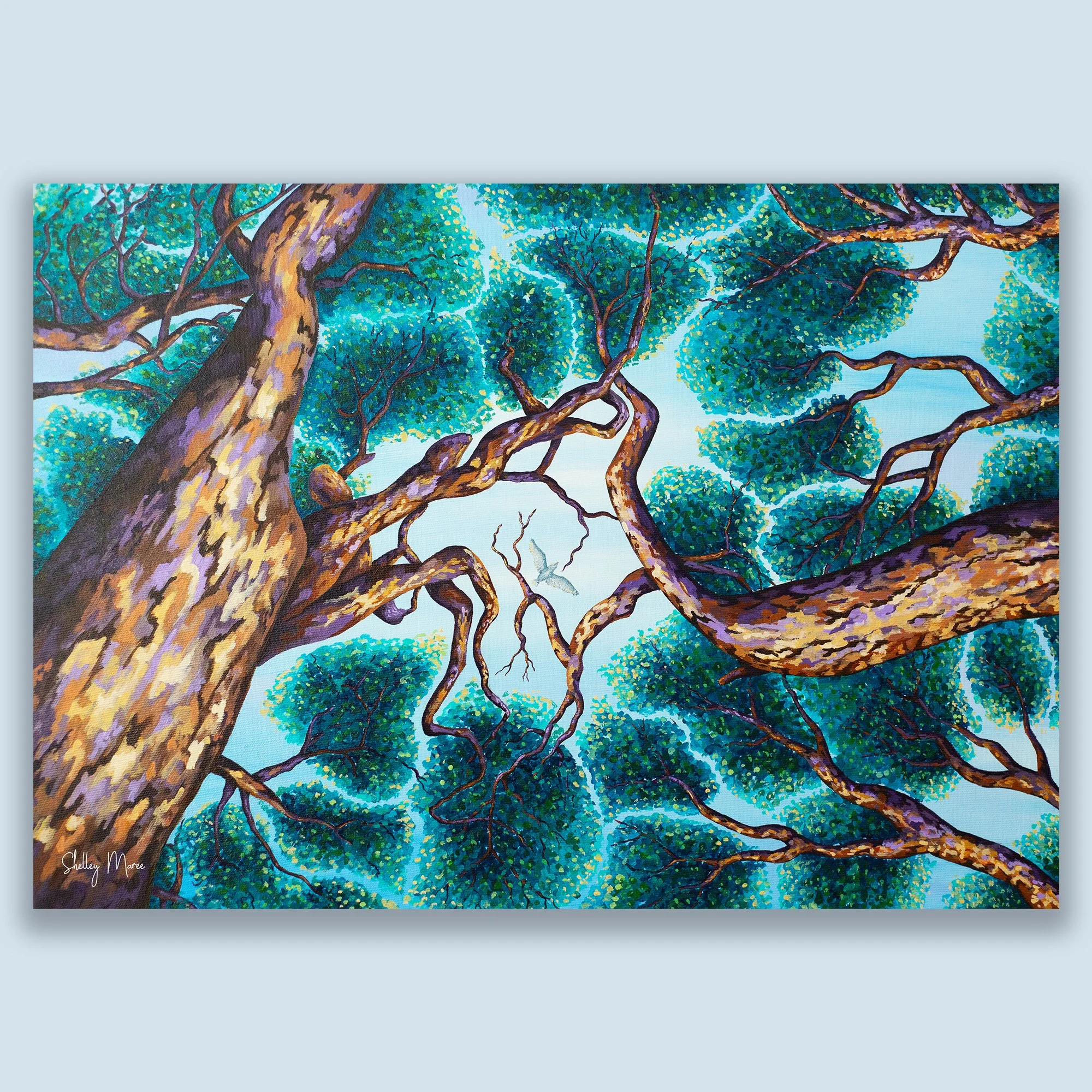 Winding Branches Art Print