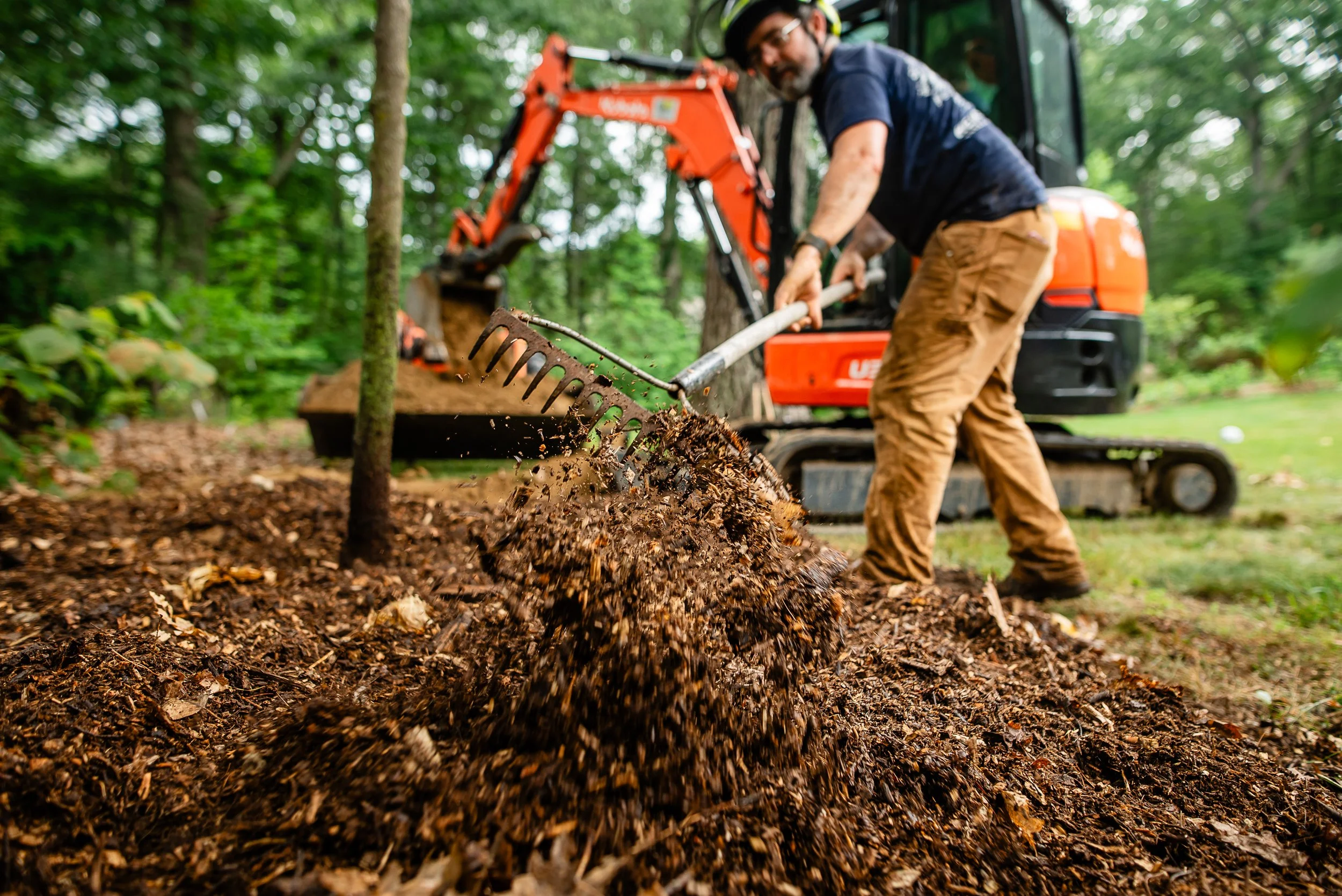 tree and shrub planting and transplanting in north shore mass