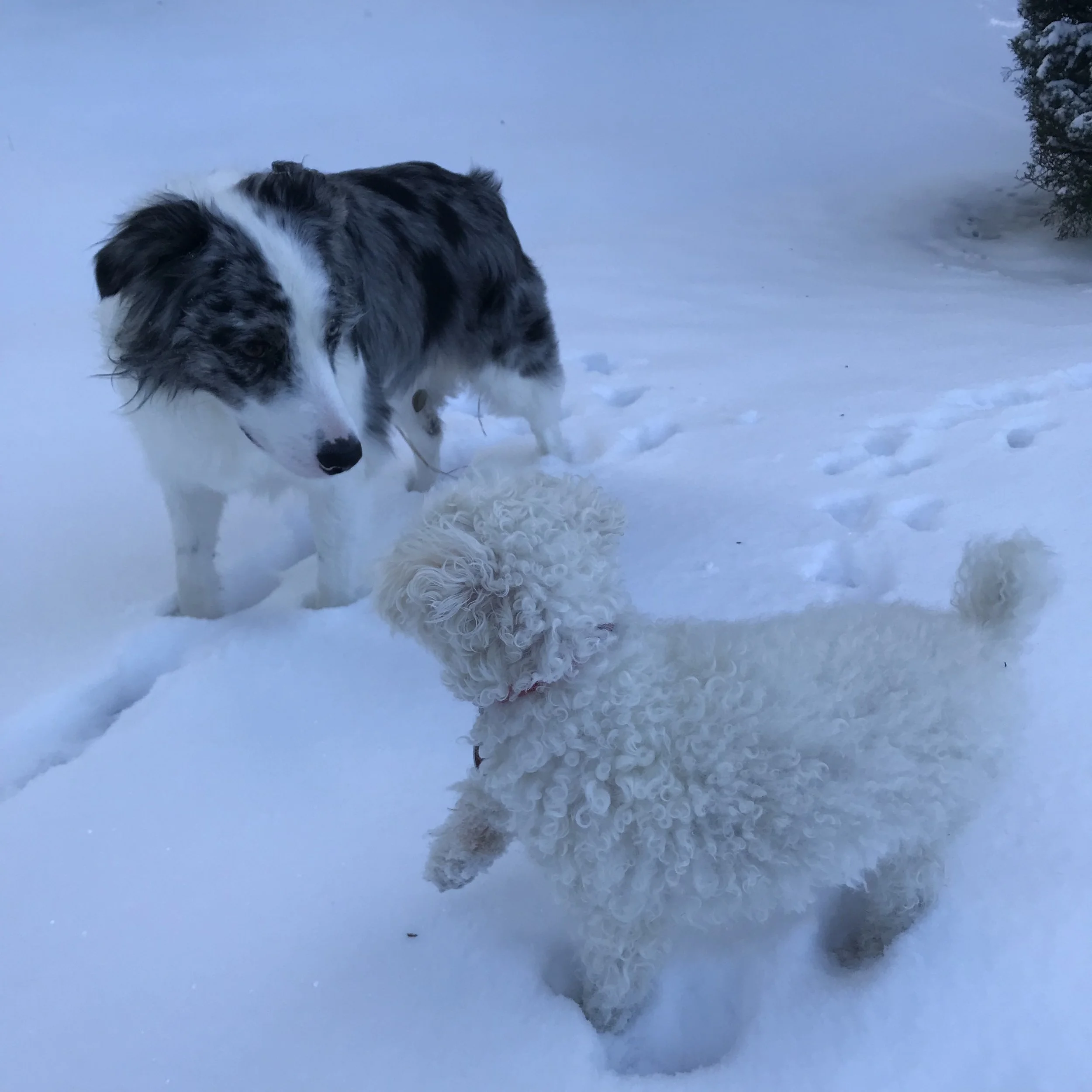 Wintering / Summerizing - Pay per Visit