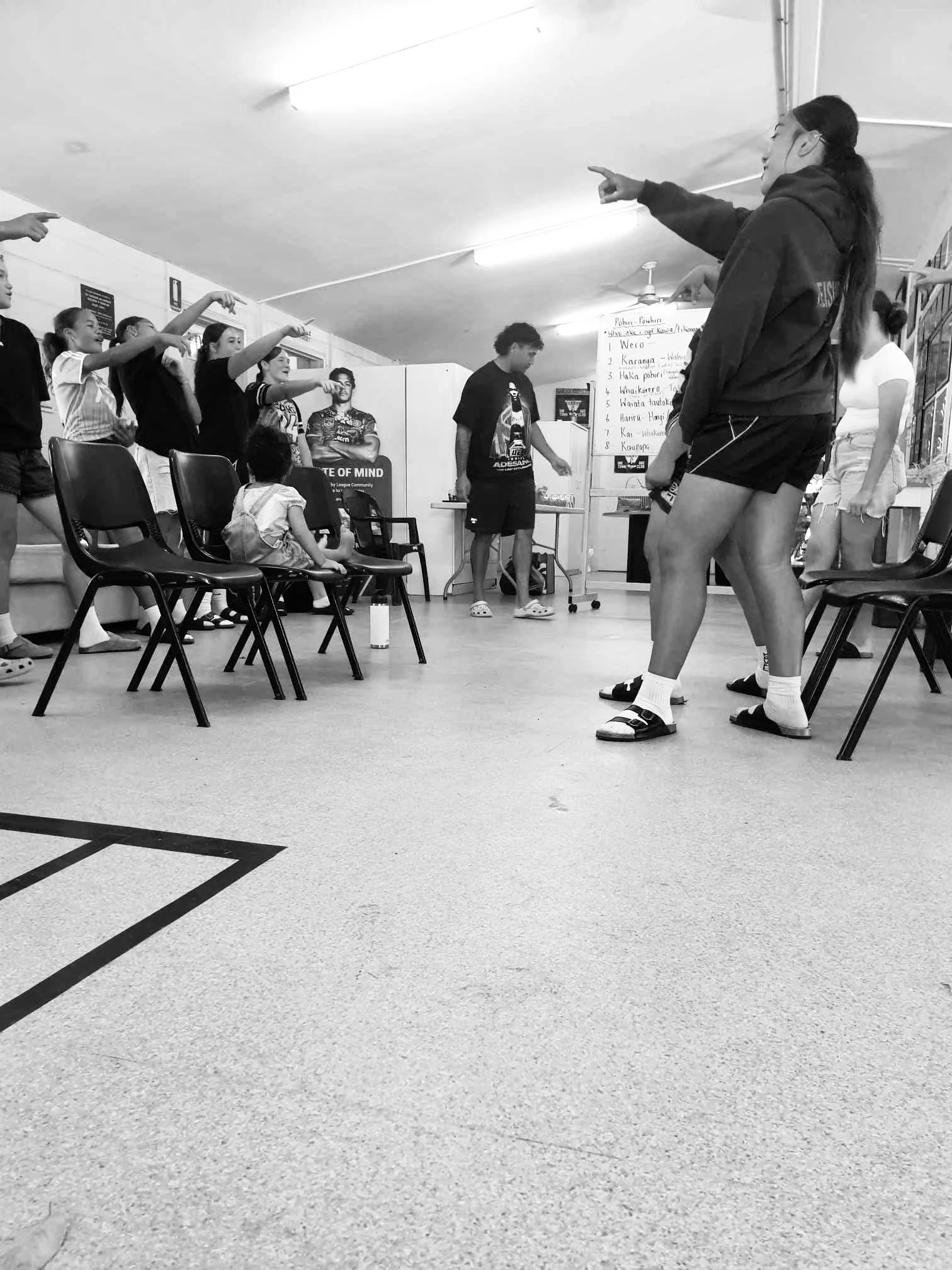 TE AO MĀORI WORK SHOP