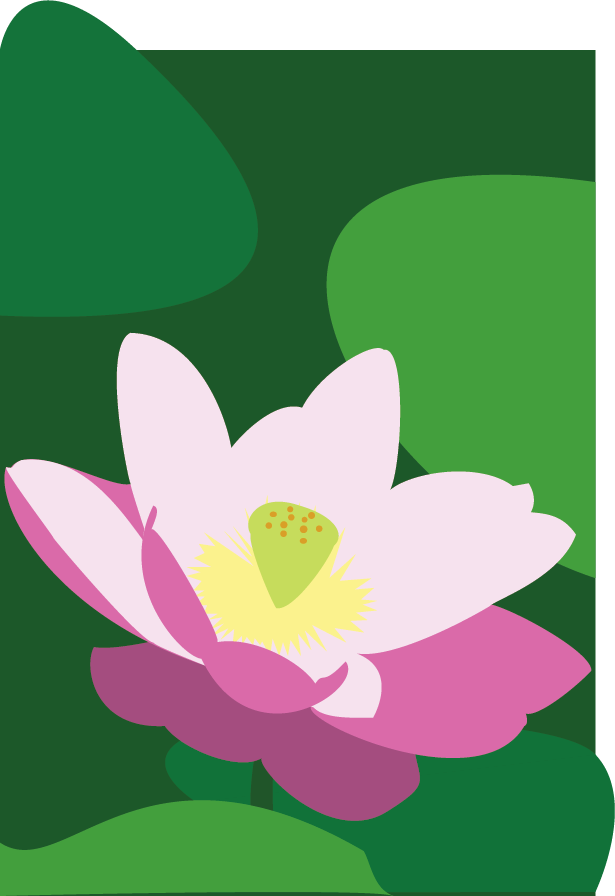 An image of lily pad using flat, bold coloring