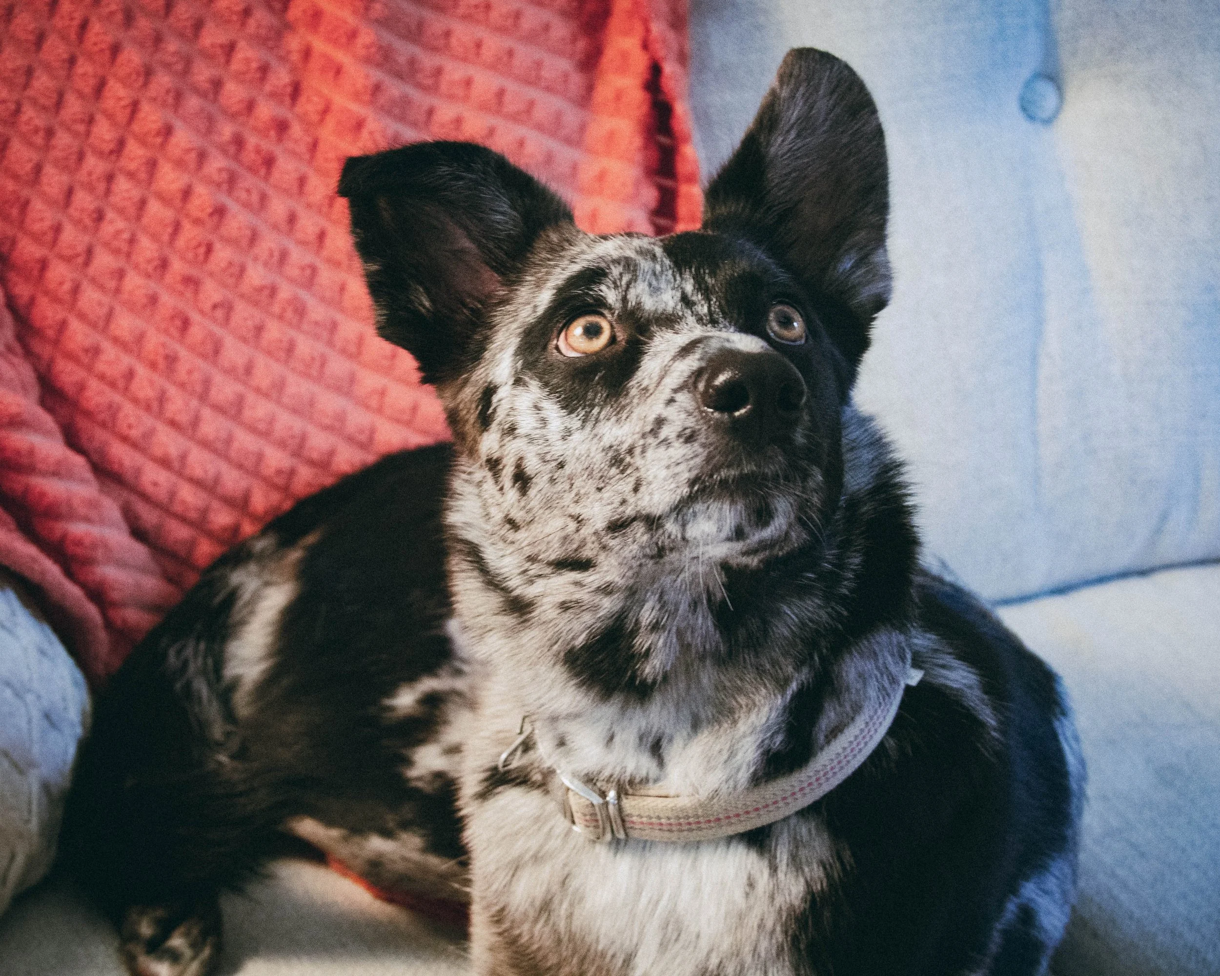 Hello! And Also One of my Favorite Photos