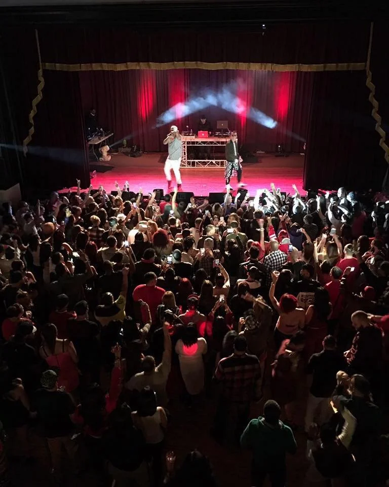 Concert with two performers on stage, audience cheering and raising hands in front of stage, colorful lighting and fog effects.