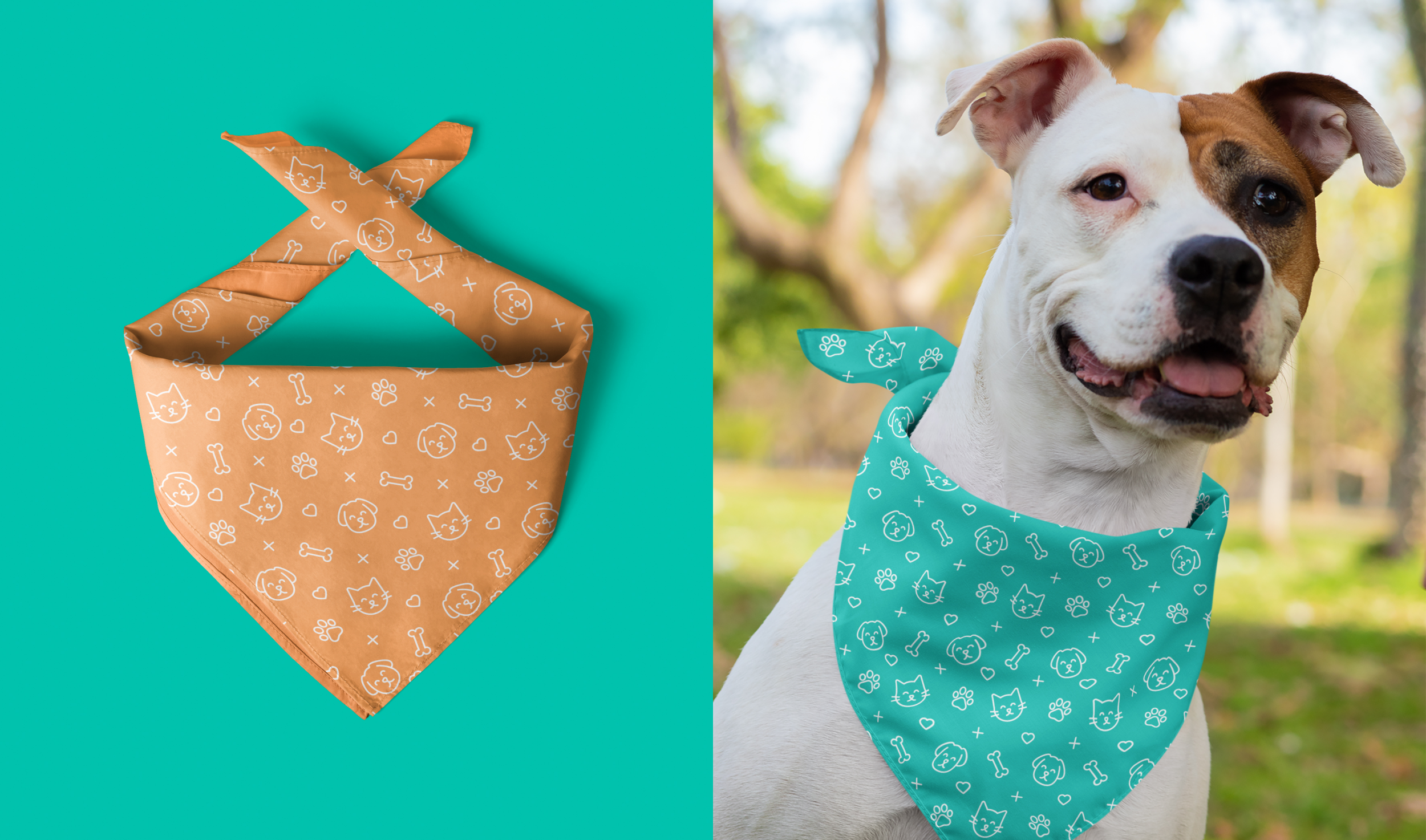 GraphicDesign_AnimalAid_Application2.png