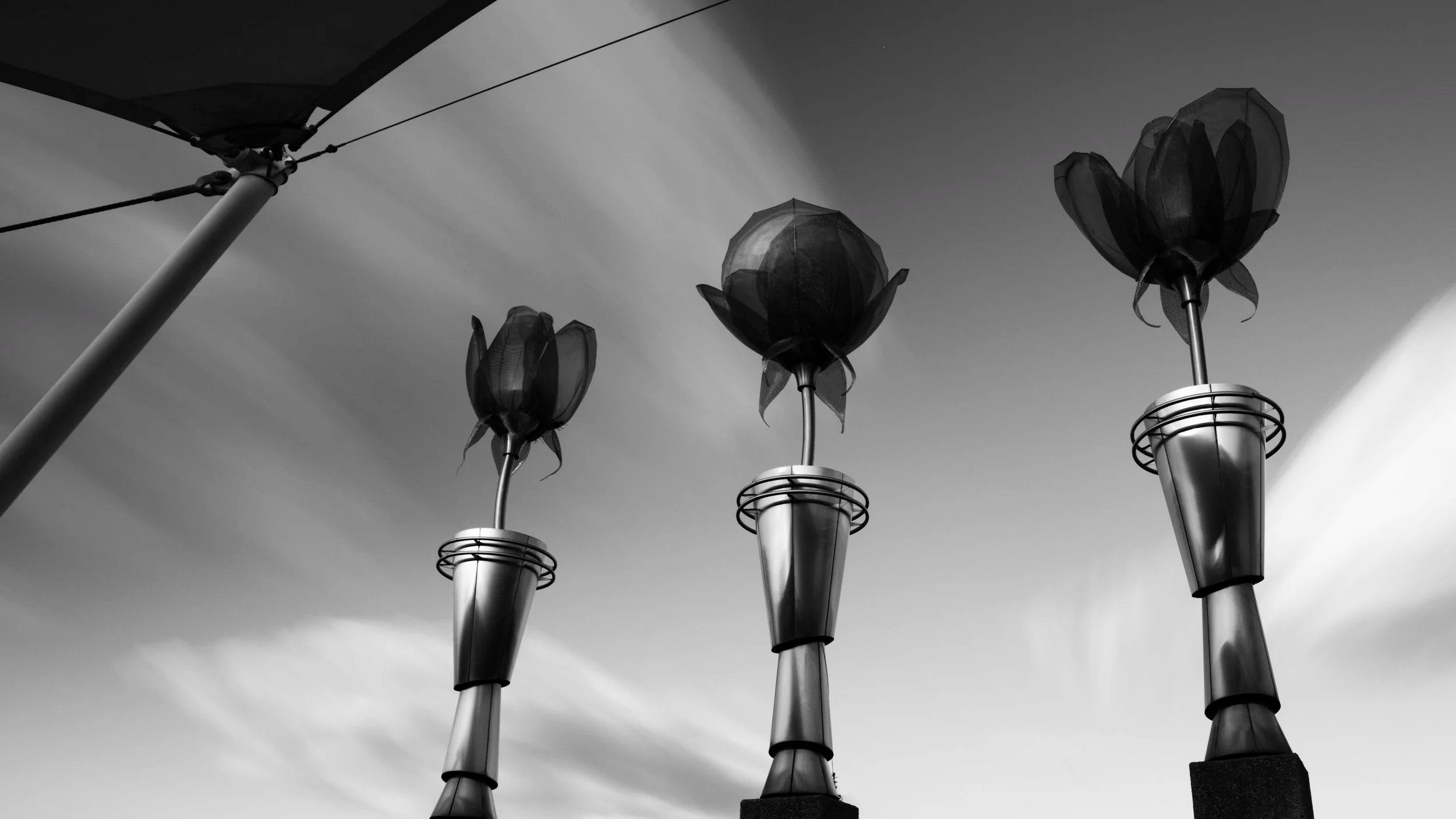 Metal Roses. Shreveport, Louisiana