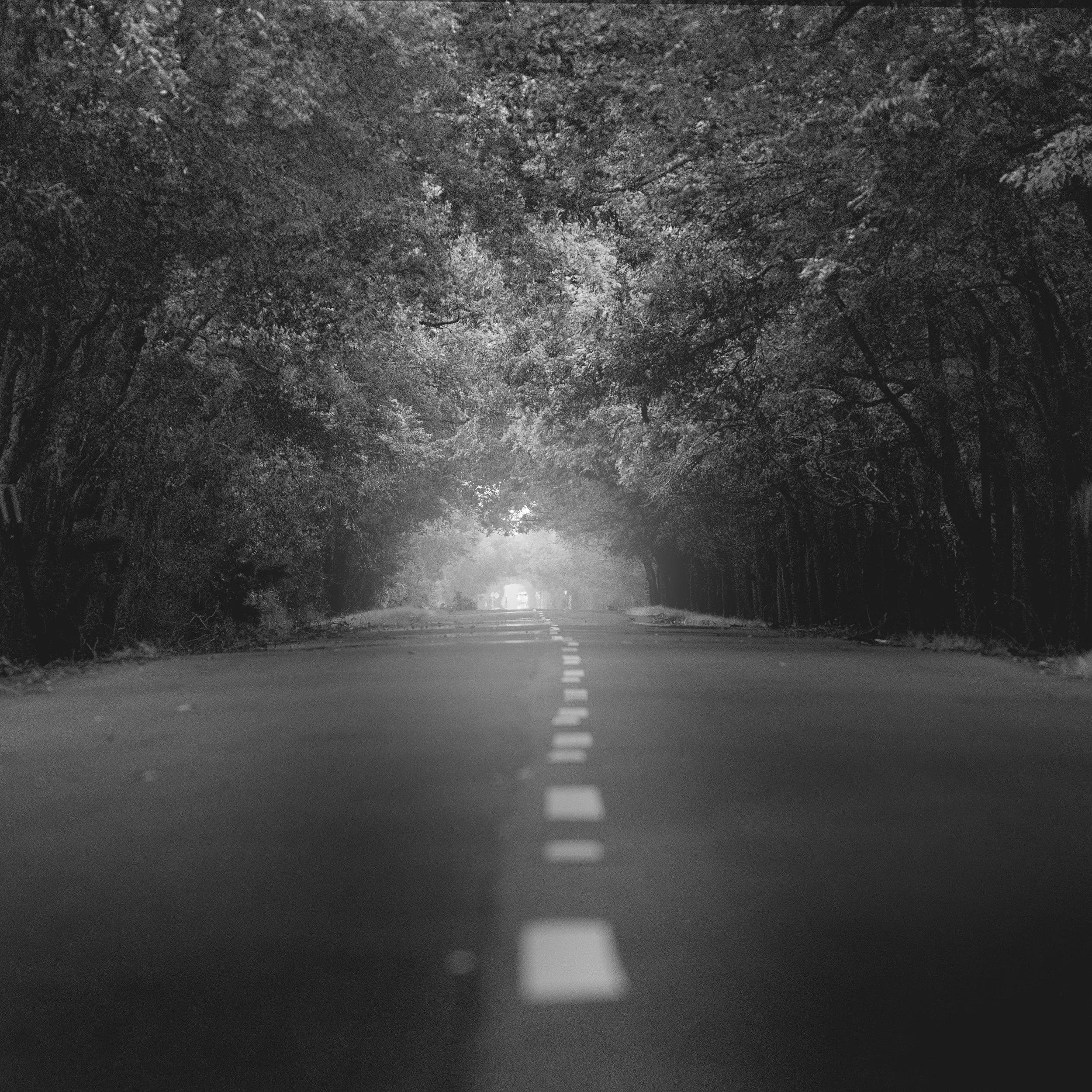 Hart's Island Road. Caspiana, Louisiana