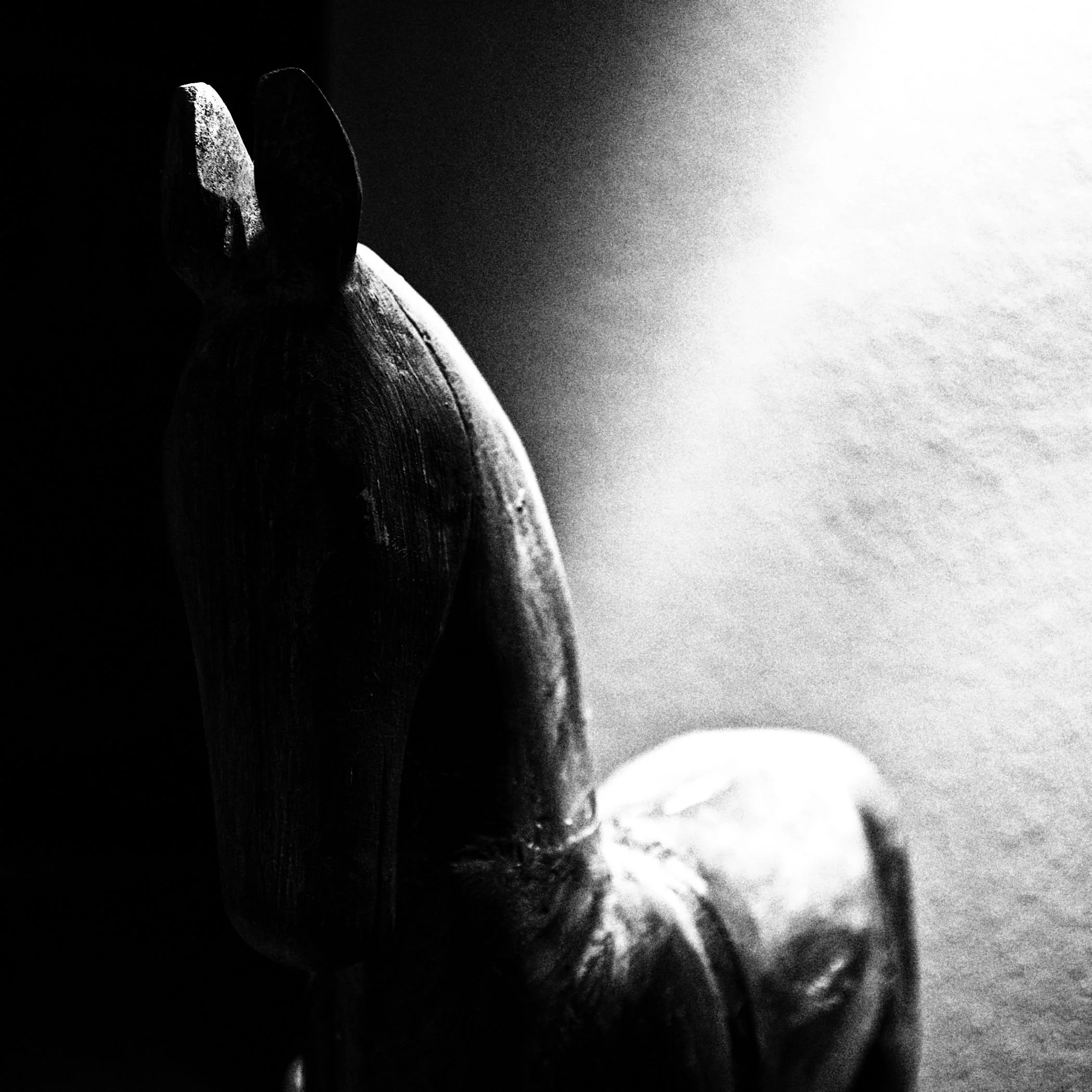 Wooden Horse