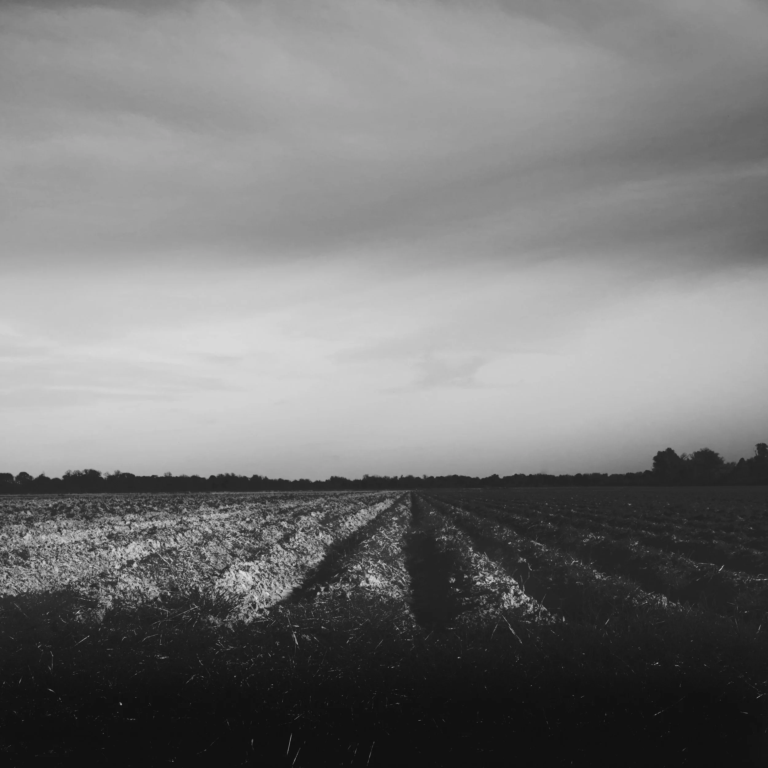 Winter rows near Isle Brevelle